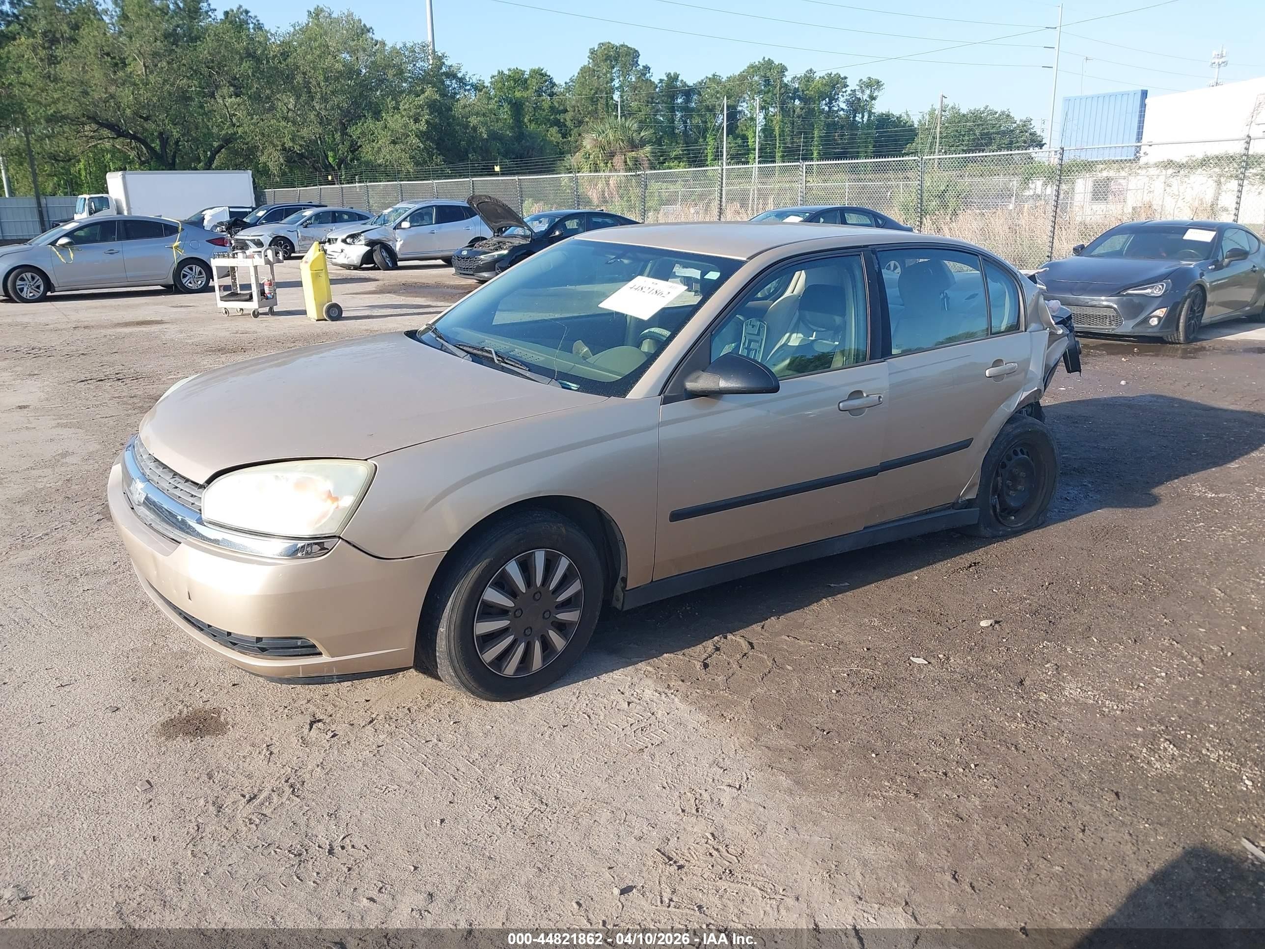 2004 Chevrolet Malibu   Gold vin: 1G1ZS52F54F154845