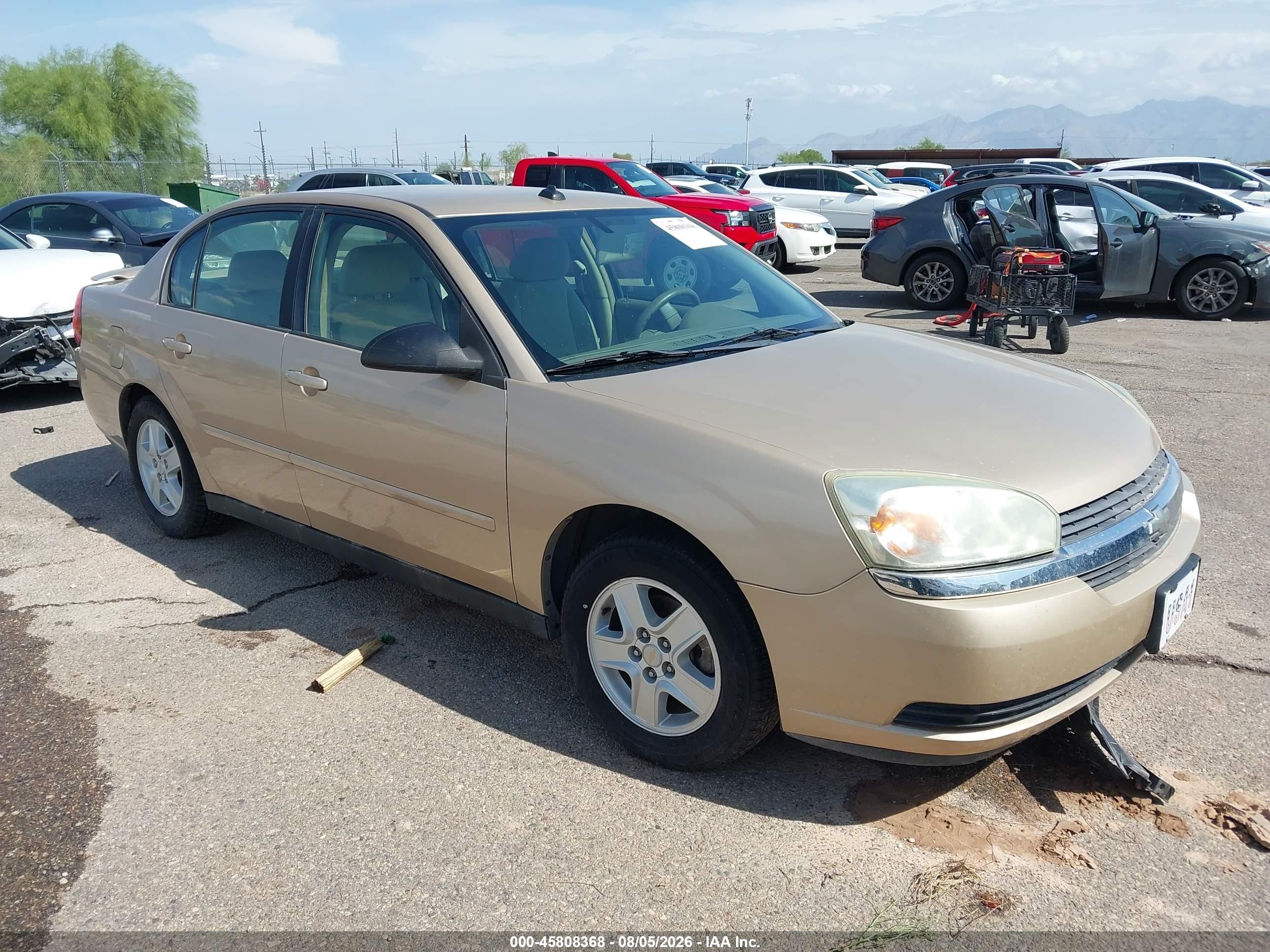 2005 Chevrolet Malibu   Gold vin: 1G1ZS52F55F236124