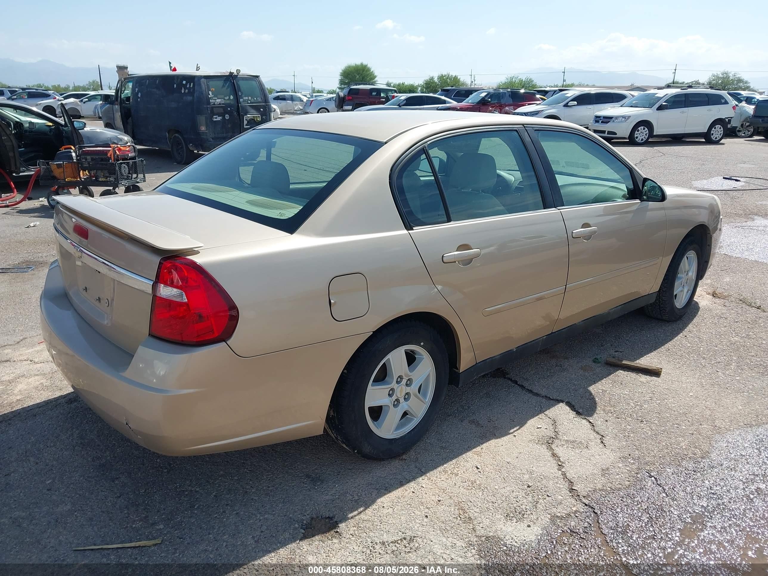 2005 Chevrolet Malibu   Gold vin: 1G1ZS52F55F236124