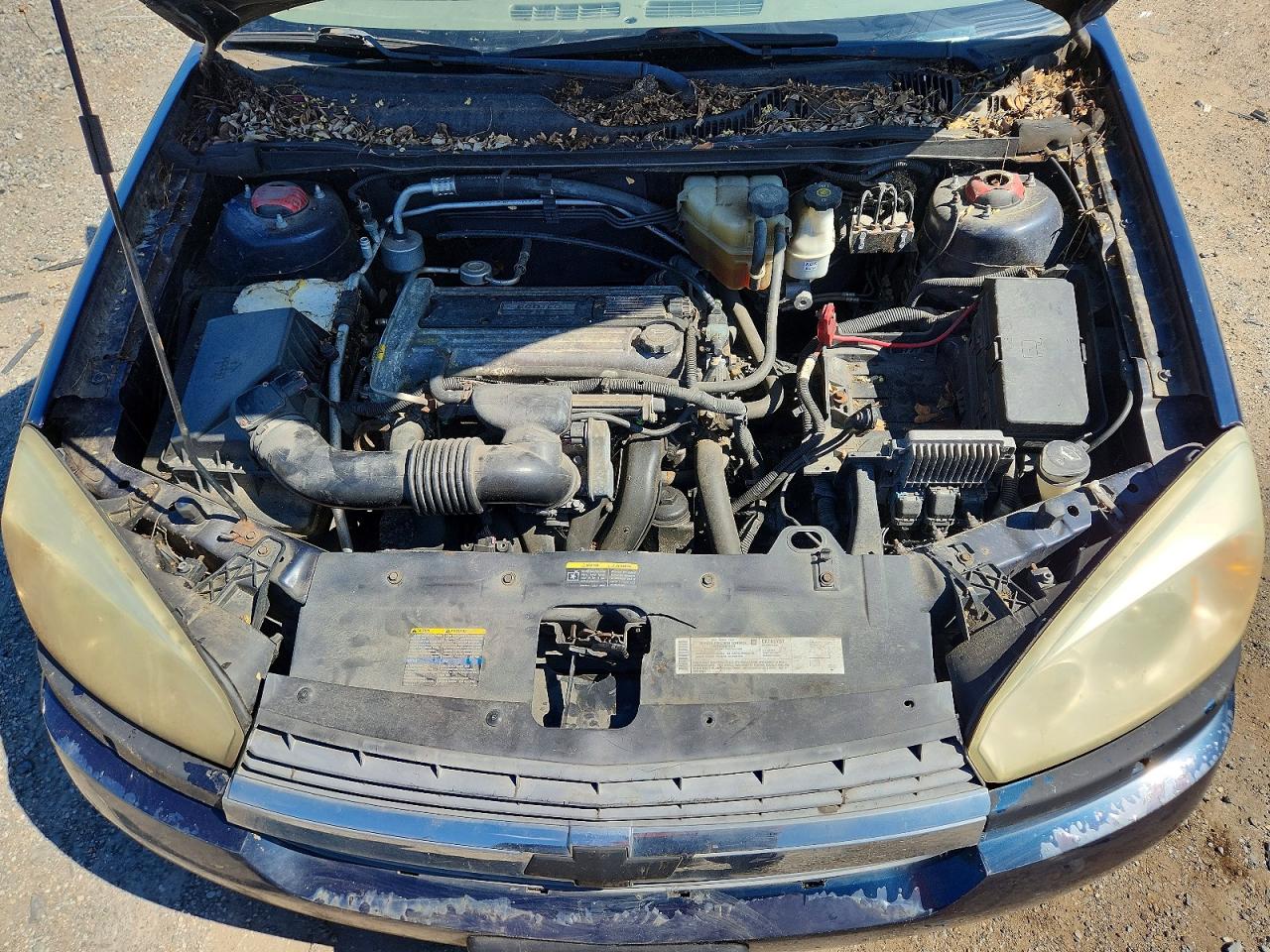2005 Chevrolet Malibu Blue vin: 1G1ZS52F65F116882