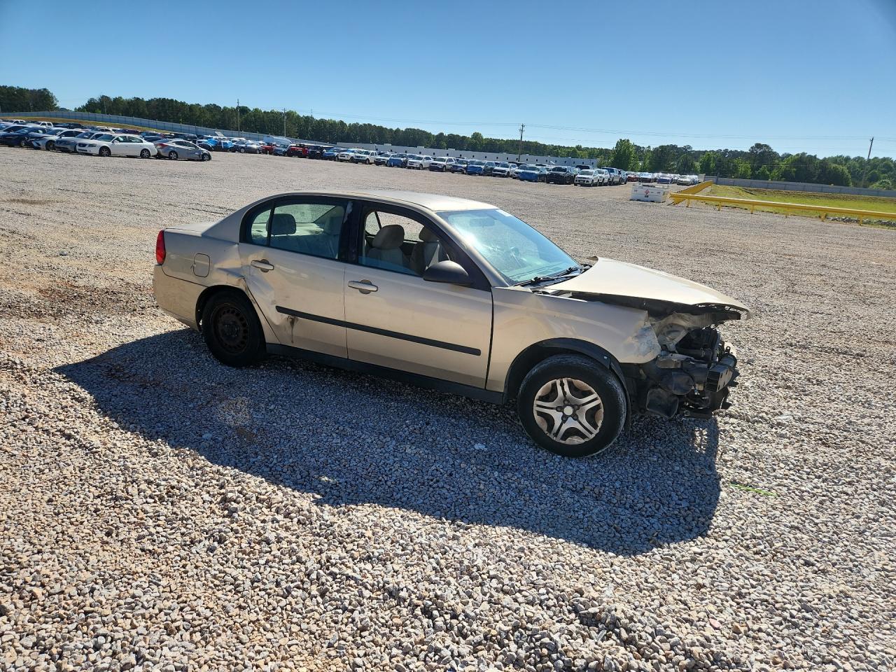2005 Chevrolet Malibu Beige vin: 1G1ZS52F75F248968