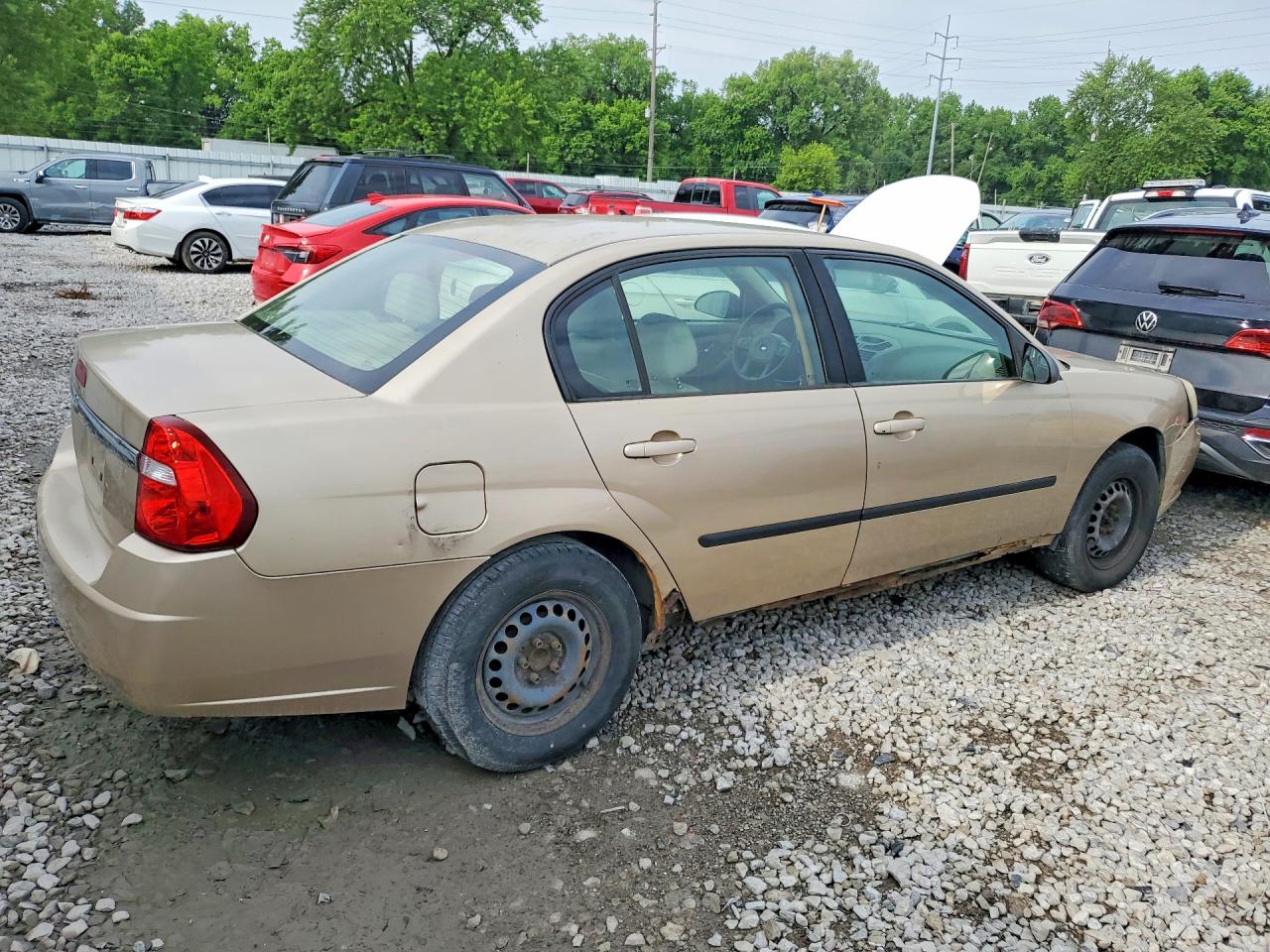 2005 Chevrolet Malibu Gold vin: 1G1ZS52F75F309557