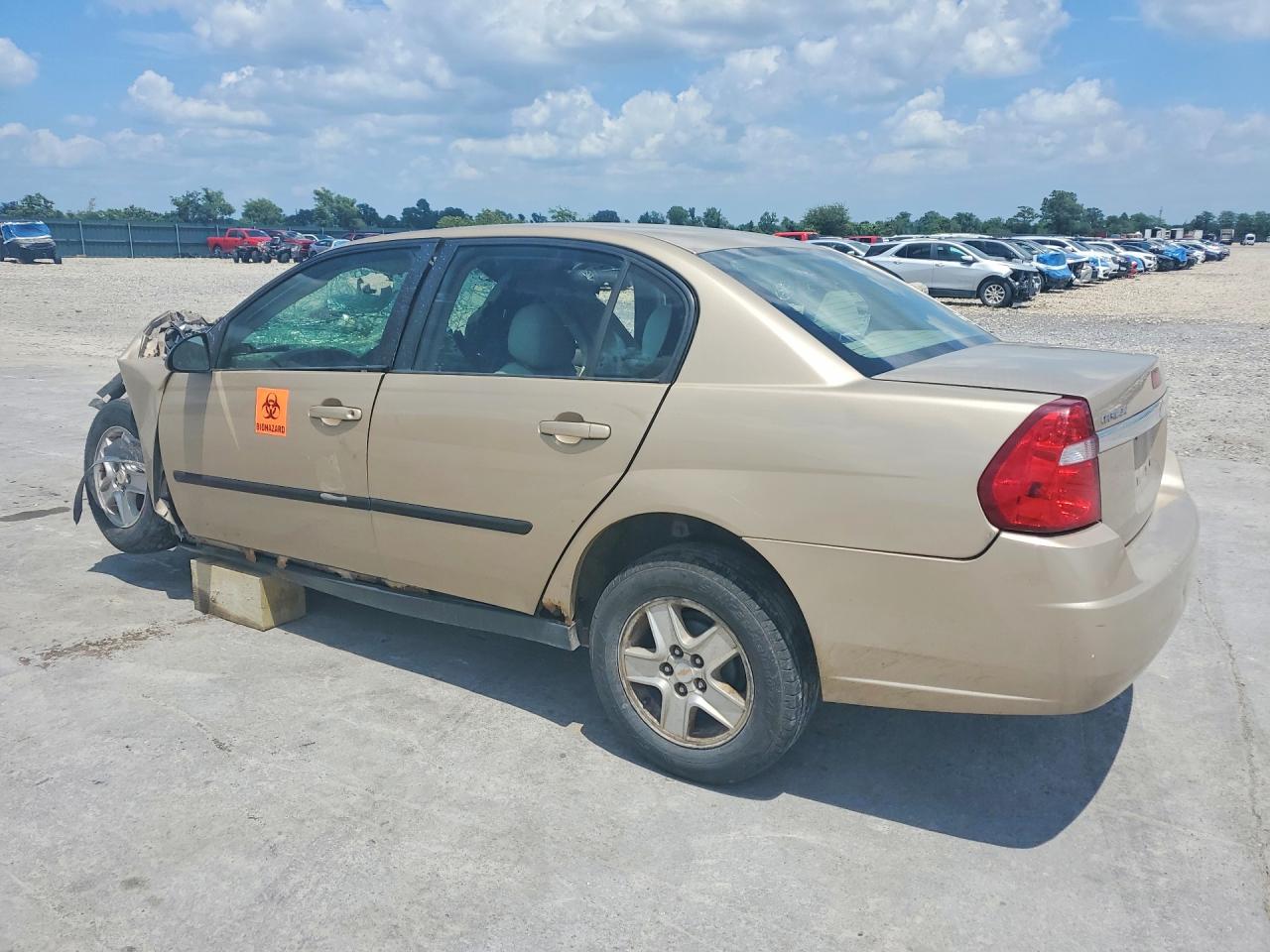 2005 Chevrolet Malibu Tan vin: 1G1ZS52F85F109075