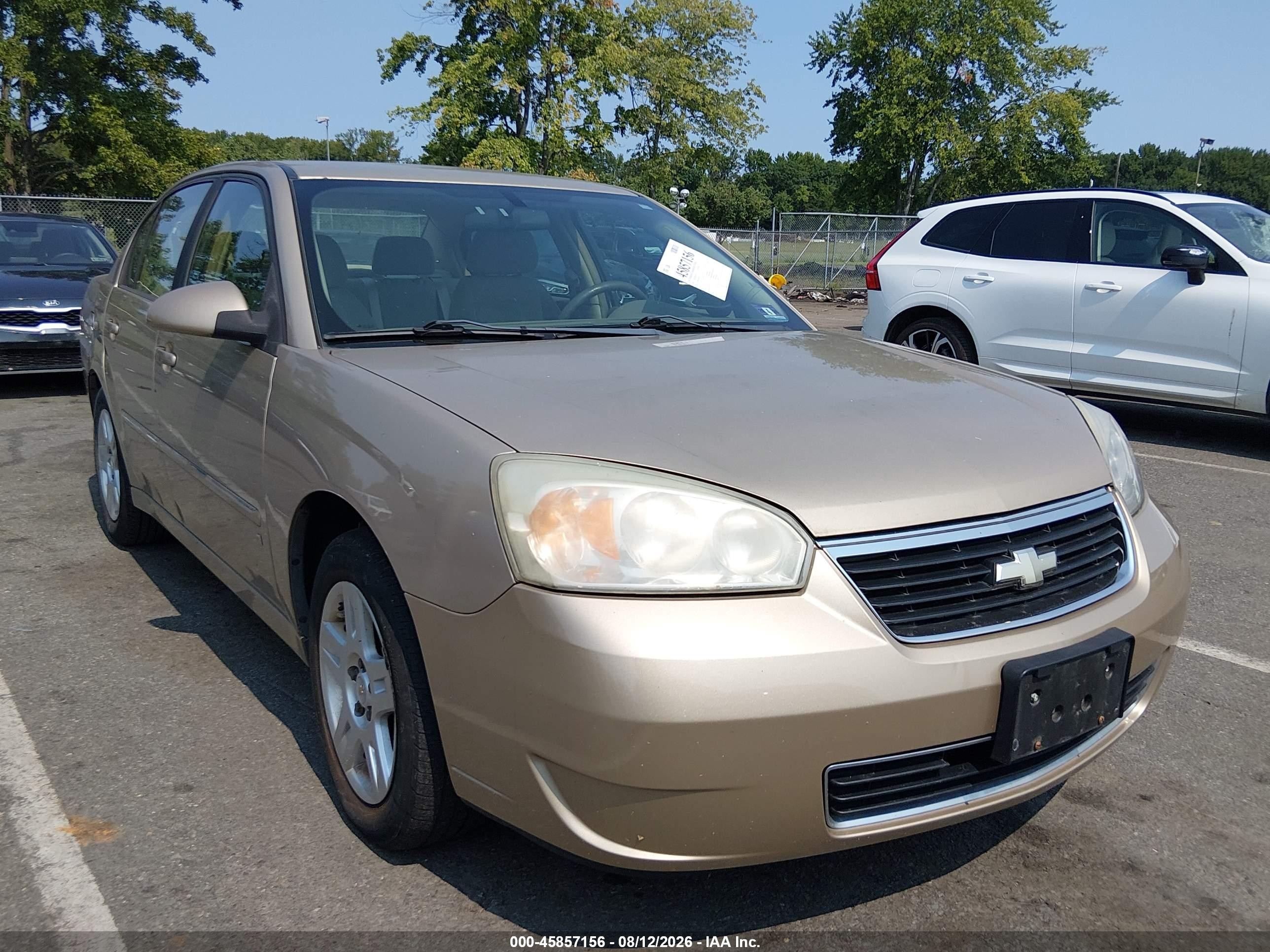 2006 Chevrolet Malibu Lt Gold vin: 1G1ZT51806F255875