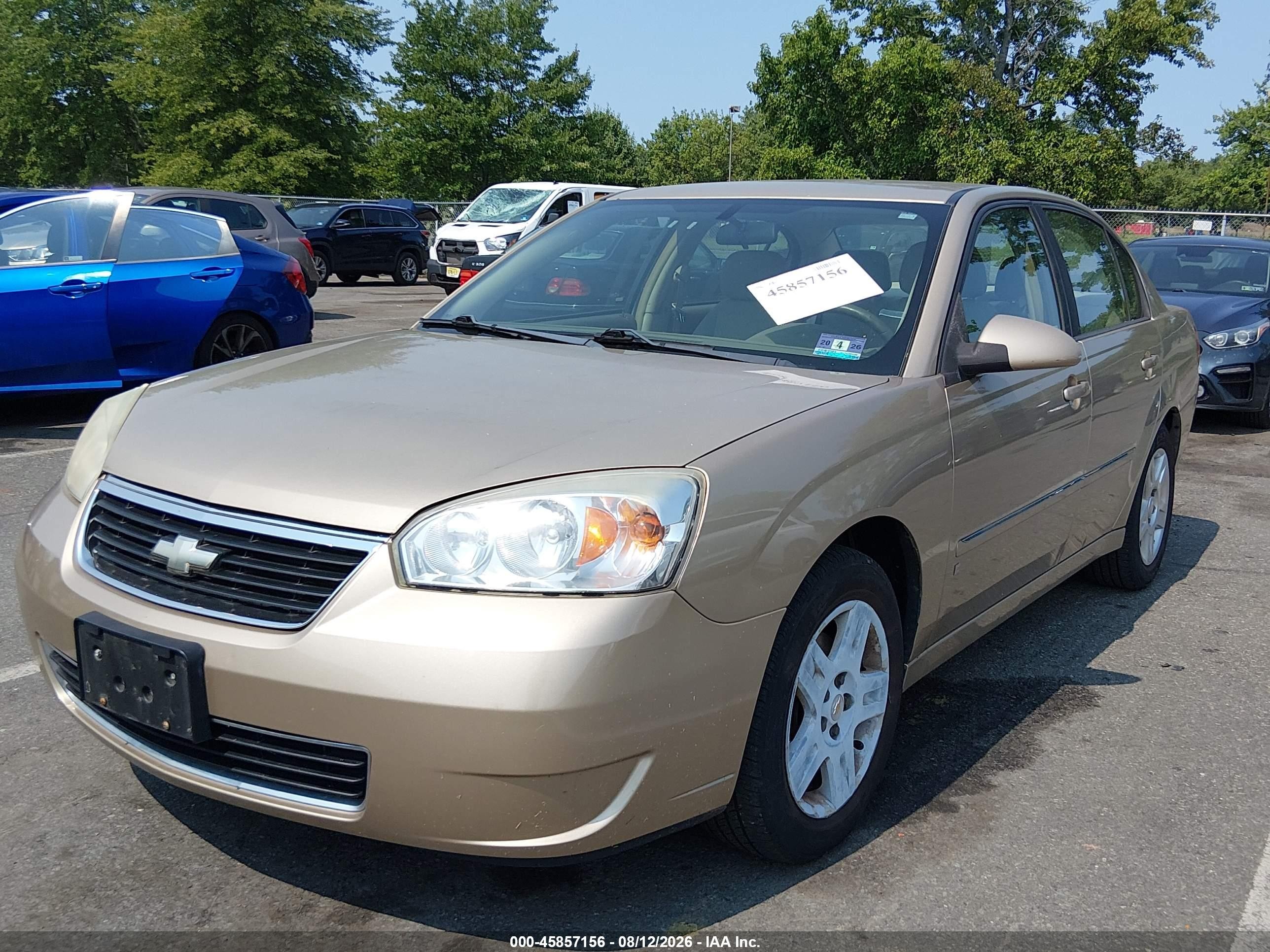 2006 Chevrolet Malibu Lt Gold vin: 1G1ZT51806F255875