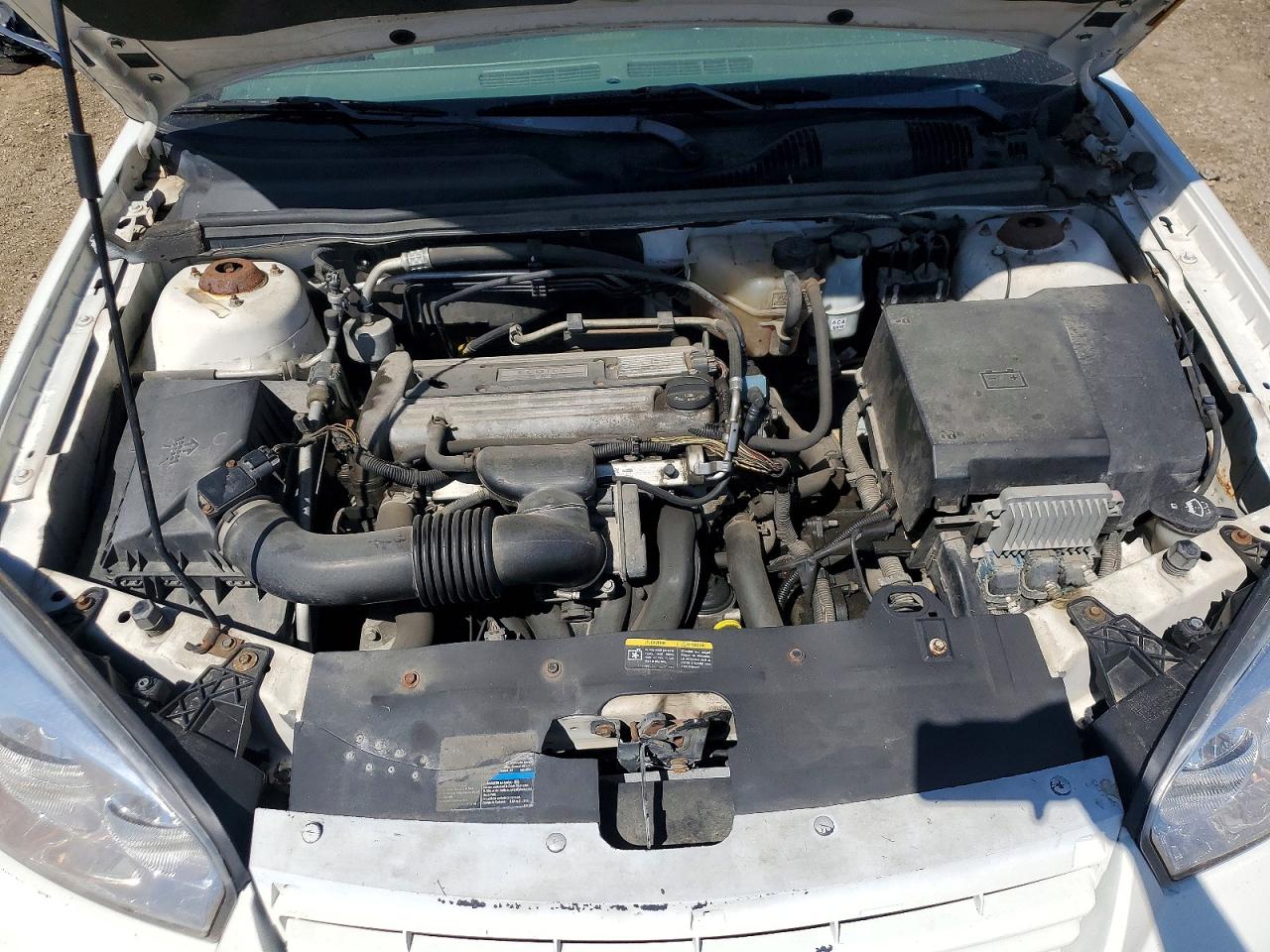 2006 Chevrolet Malibu Lt Белый vin: 1G1ZT51F06F170694