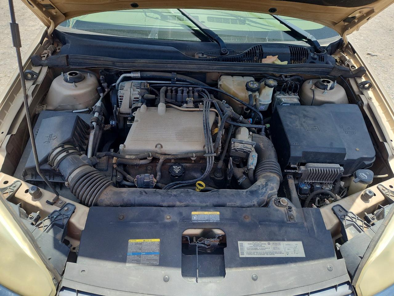 2004 Chevrolet Malibu Ls Tan vin: 1G1ZT52844F215472
