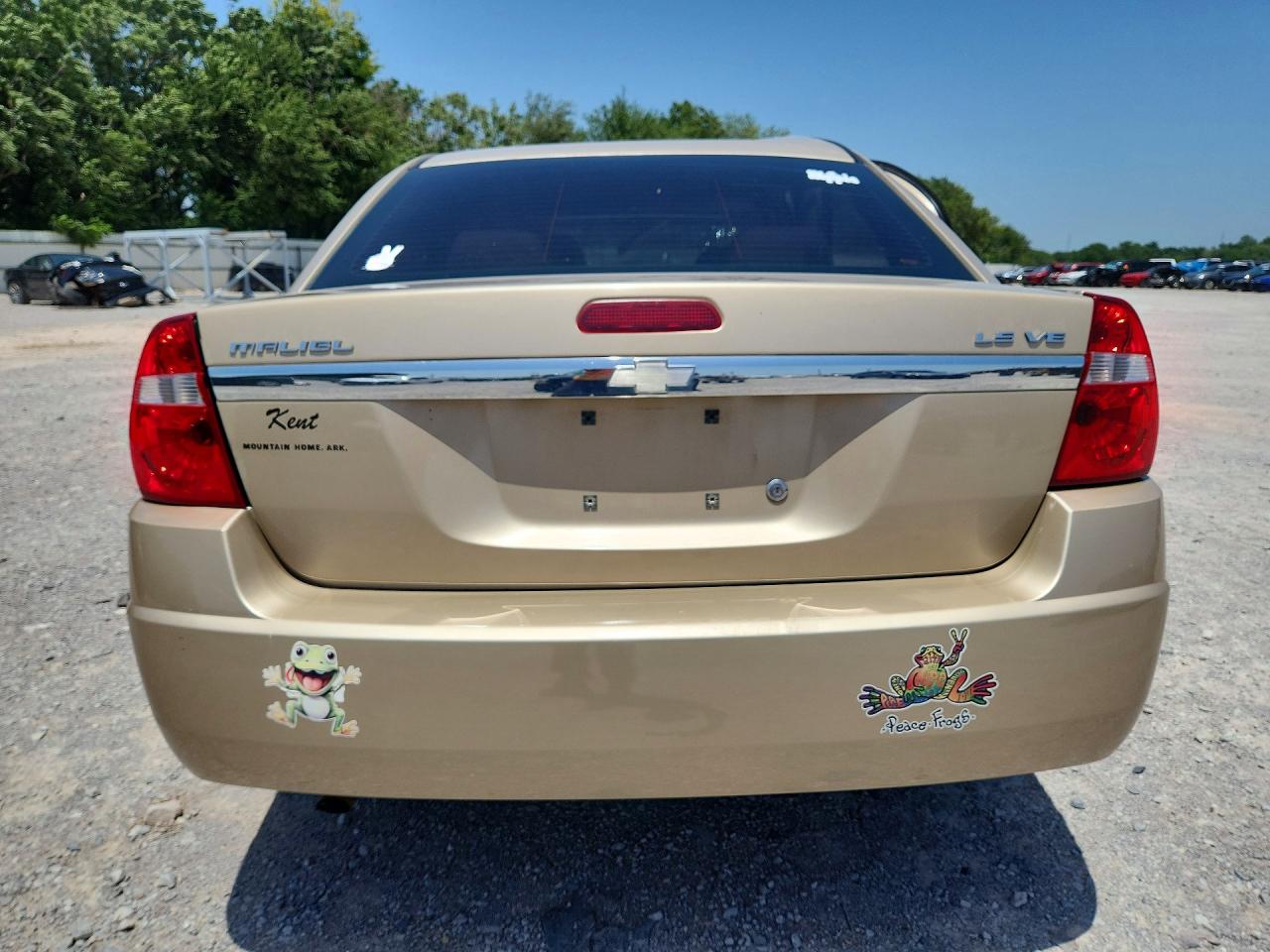 2004 Chevrolet Malibu Ls Tan vin: 1G1ZT52844F215472