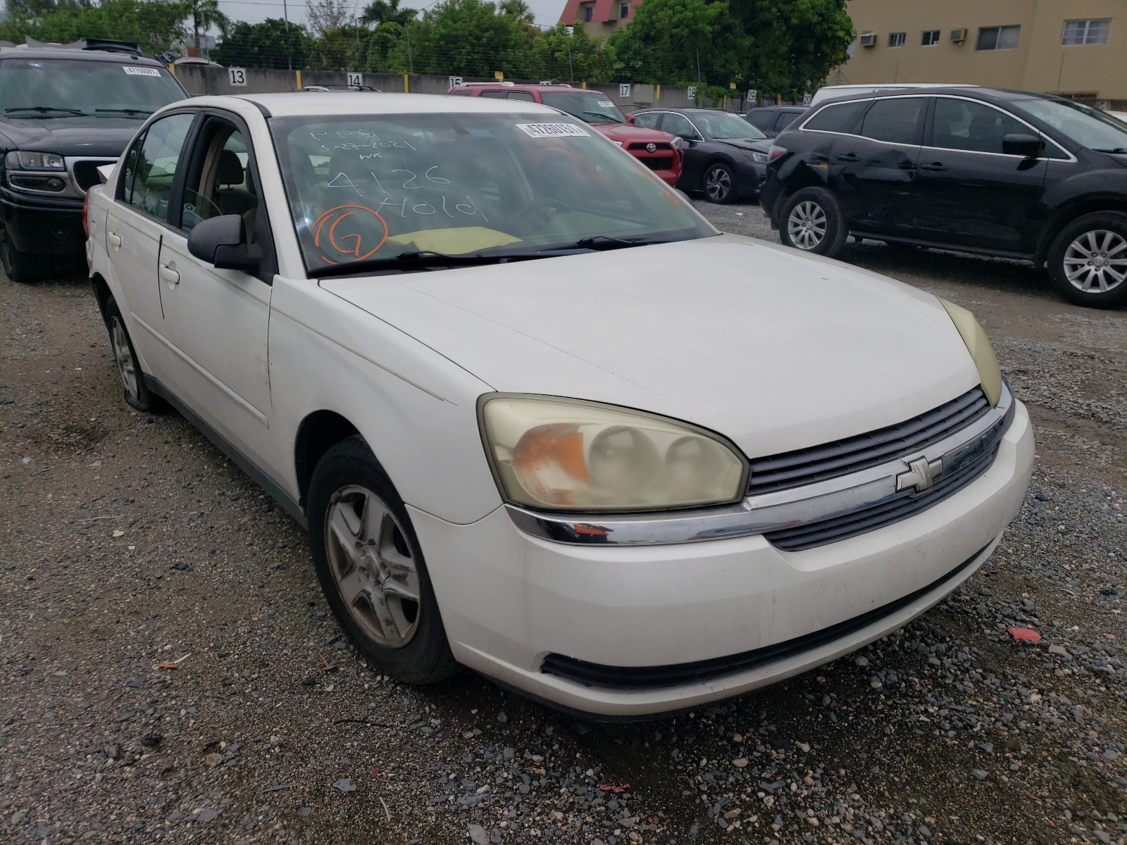2005 Chevrolet Malibu Ls White vin: 1G1ZT52875F244126