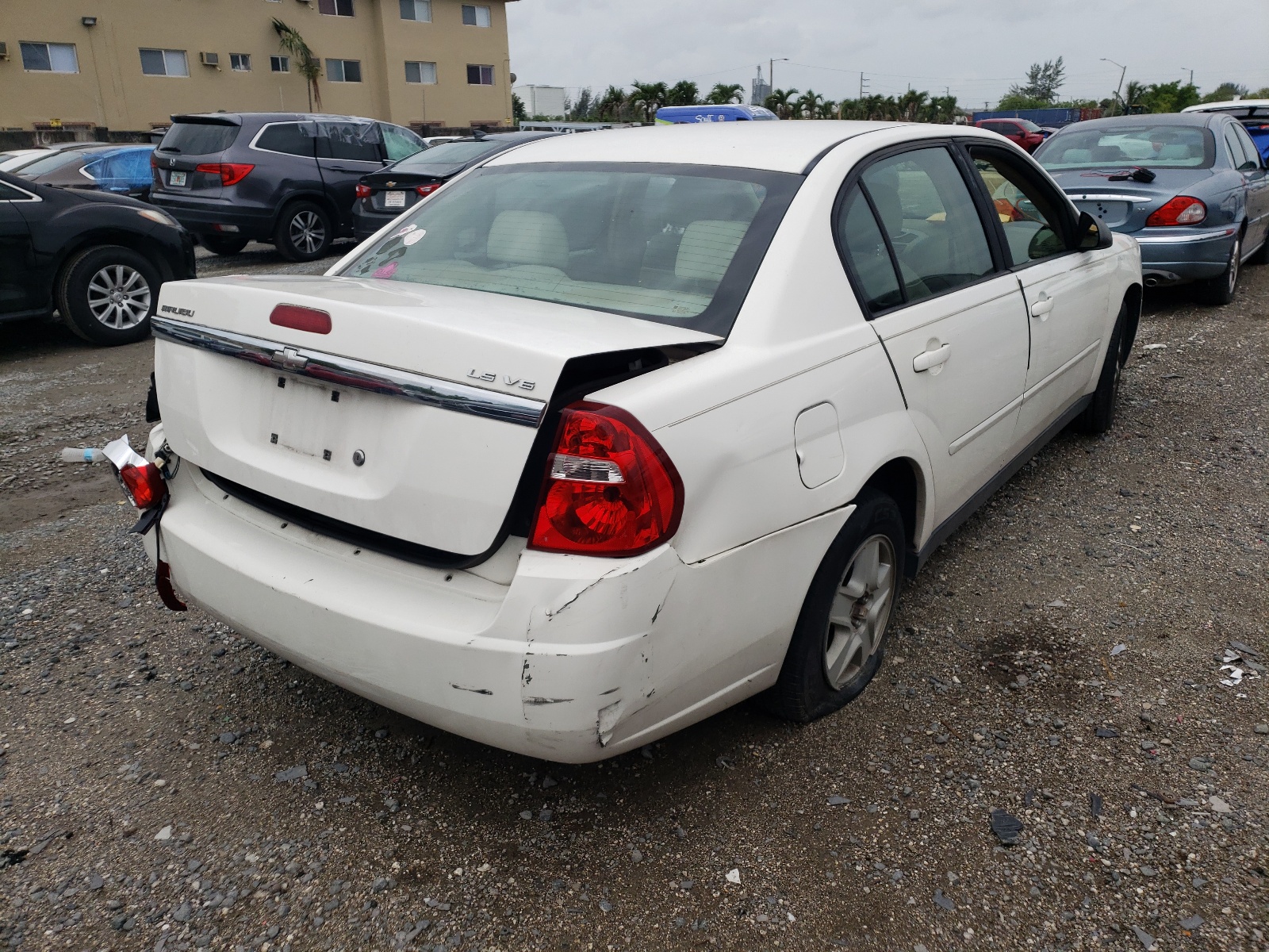 2005 Chevrolet Malibu Ls White vin: 1G1ZT52875F244126