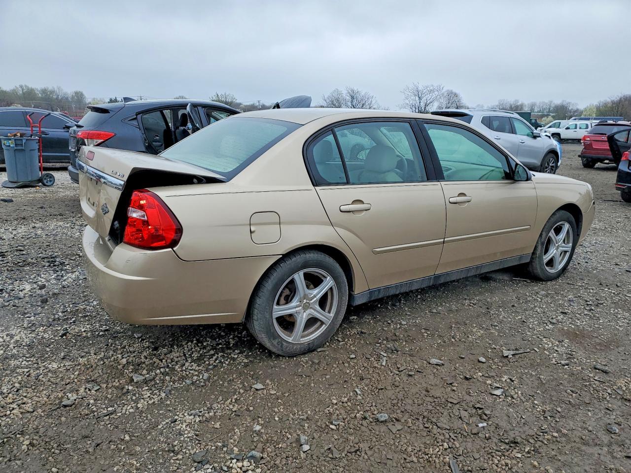 2005 Chevrolet Malibu Ls Gold vin: 1G1ZT52885F328021