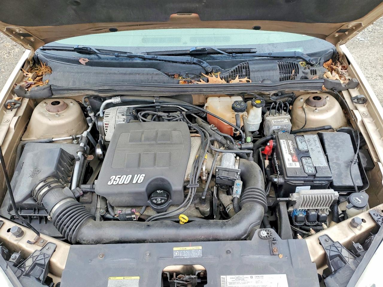 2005 Chevrolet Malibu Ls Gold vin: 1G1ZT52885F328021