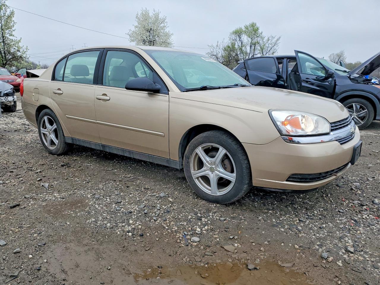 2005 Chevrolet Malibu Ls Gold vin: 1G1ZT52885F328021