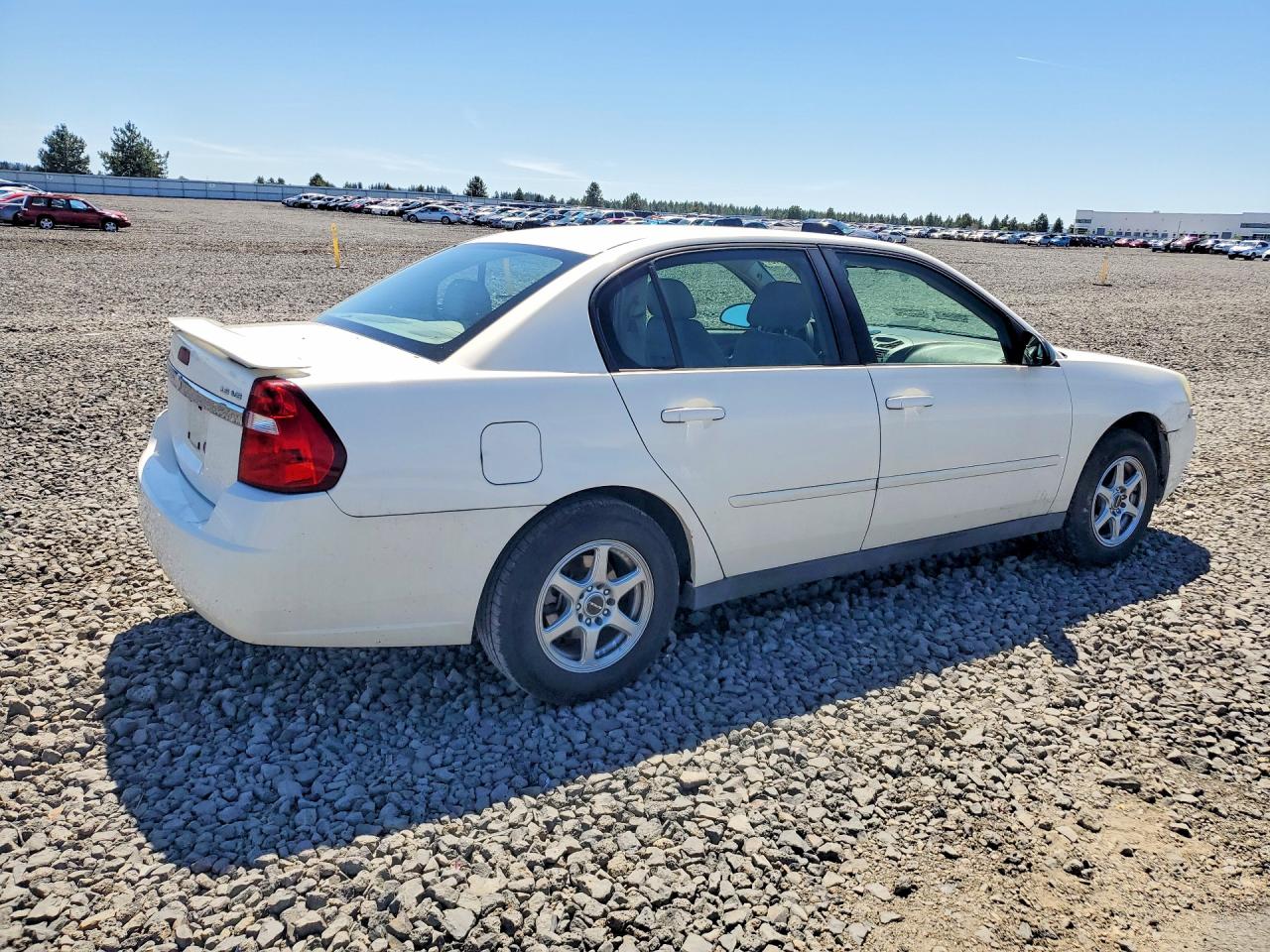 2005 Chevrolet Malibu Ls White vin: 1G1ZT528X5F117550
