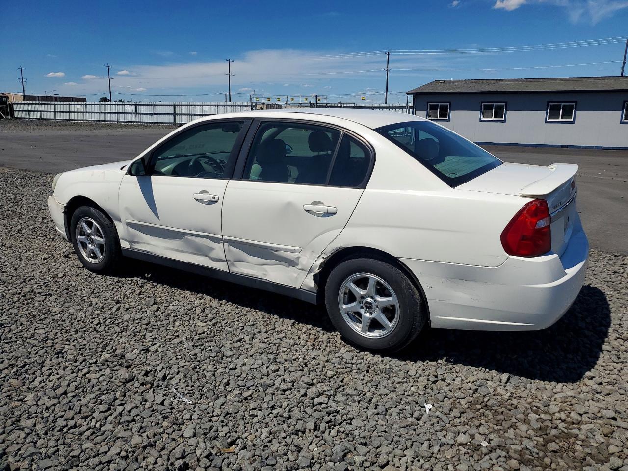 2005 Chevrolet Malibu Ls White vin: 1G1ZT528X5F117550