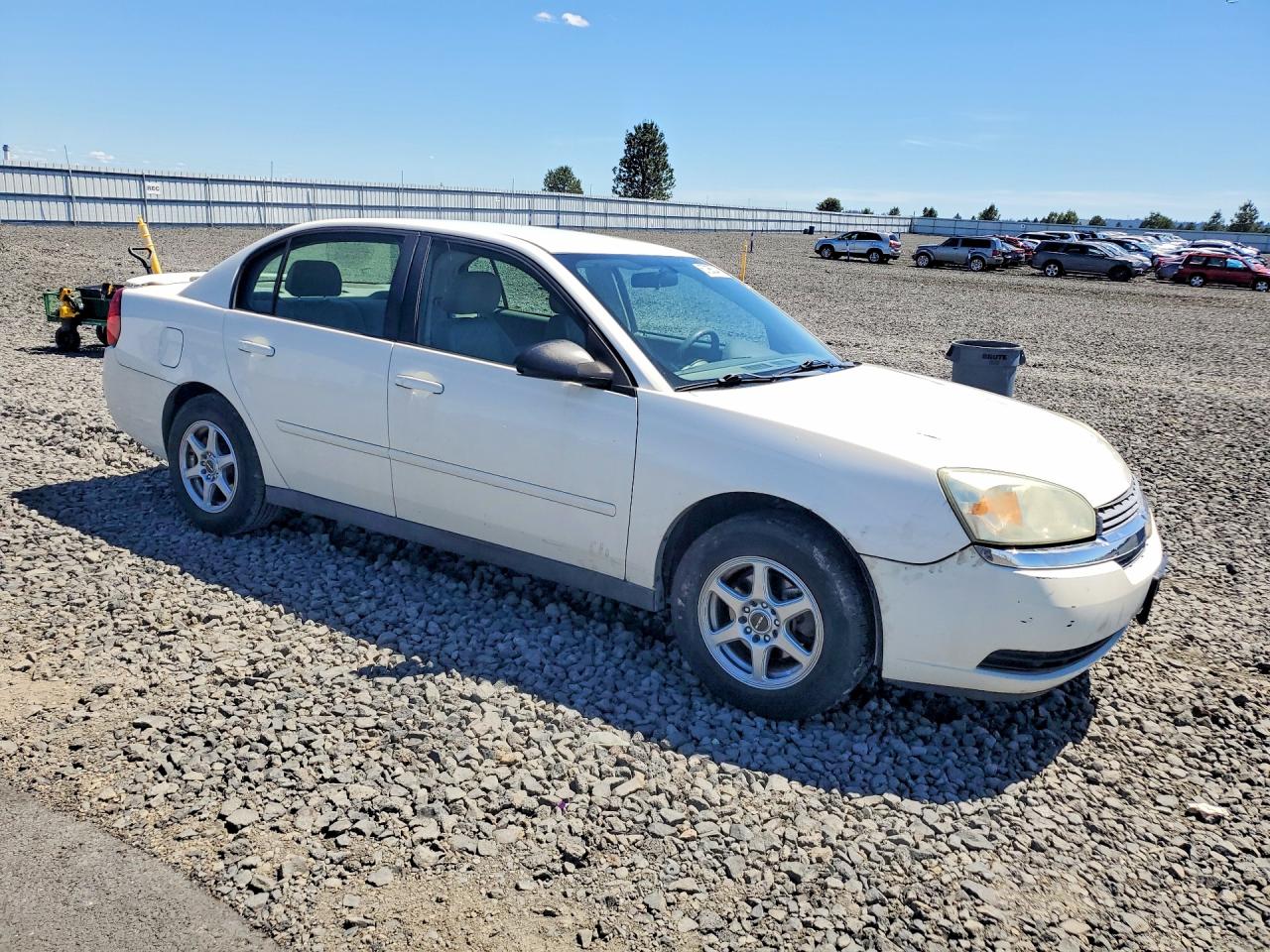 2005 Chevrolet Malibu Ls White vin: 1G1ZT528X5F117550