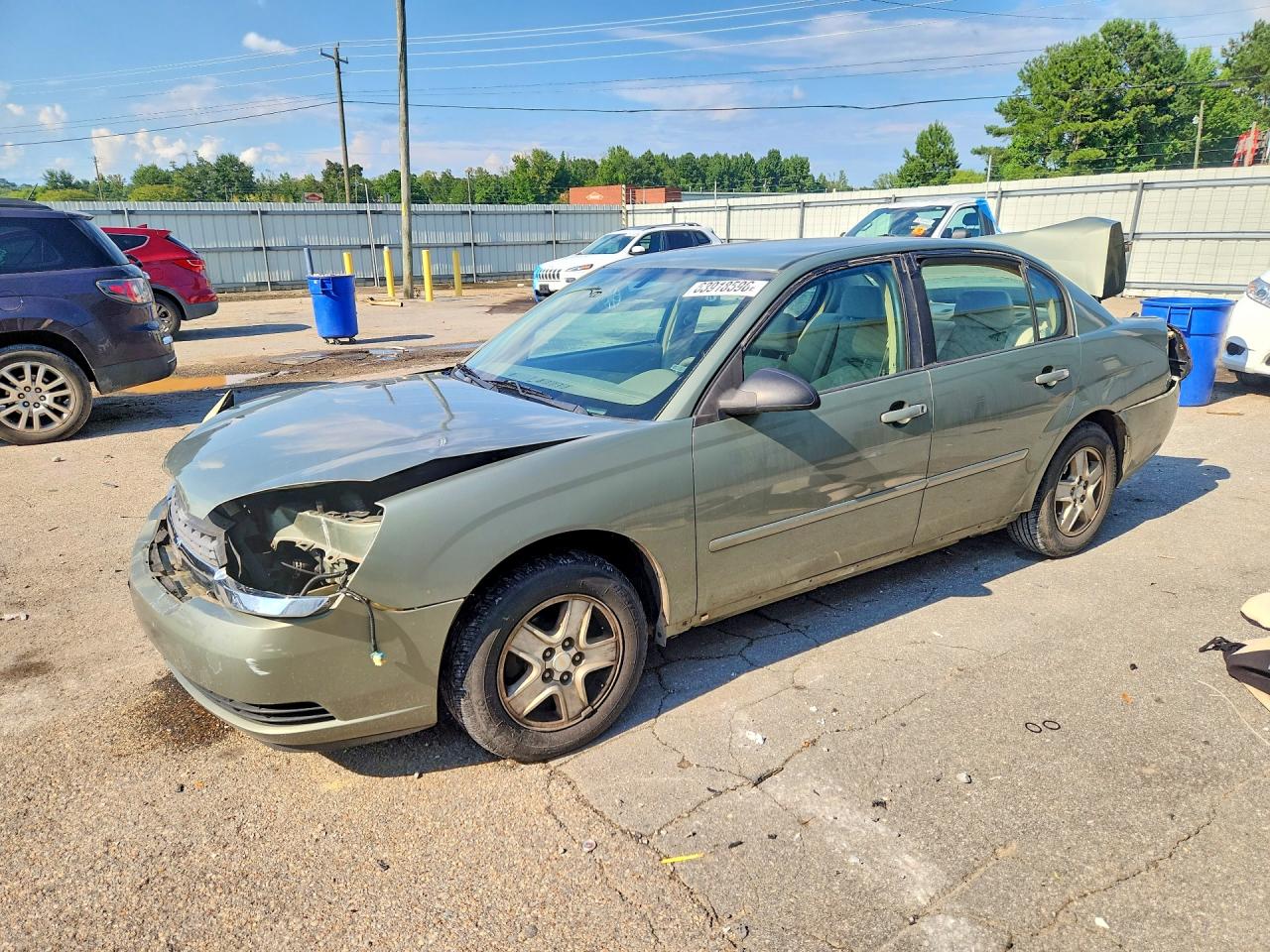 2005 Chevrolet Malibu Ls Зеленый vin: 1G1ZT528X5F204459