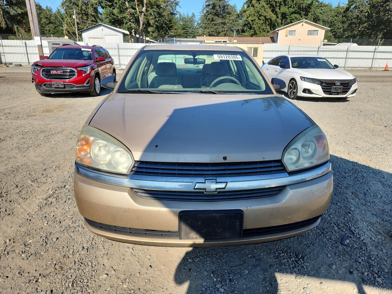 2005 Chevrolet Malibu Ls Tan vin: 1G1ZT528X5F268551
