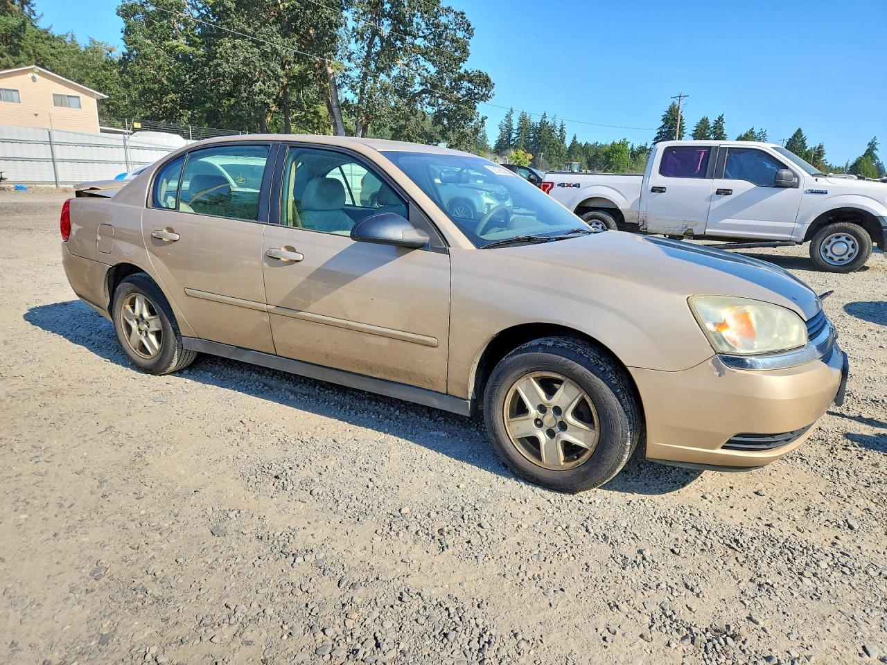2005 Chevrolet Malibu Ls Tan vin: 1G1ZT528X5F268551