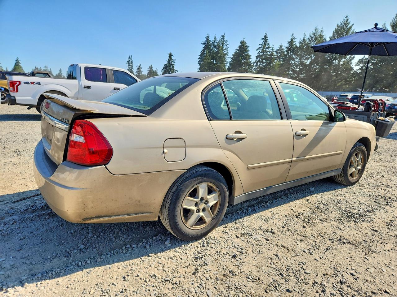 2005 Chevrolet Malibu Ls Tan vin: 1G1ZT528X5F268551