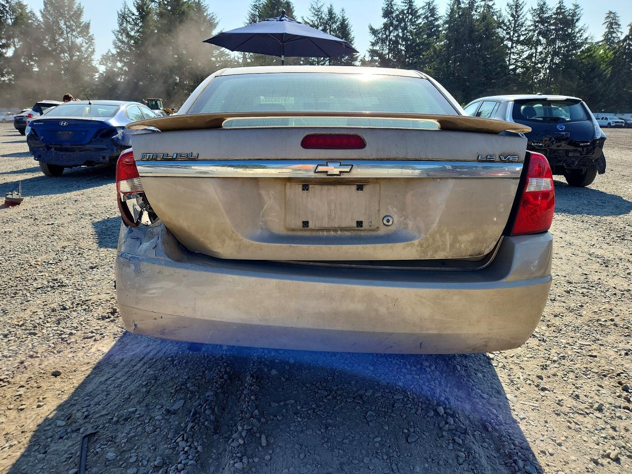 2005 Chevrolet Malibu Ls Tan vin: 1G1ZT528X5F268551