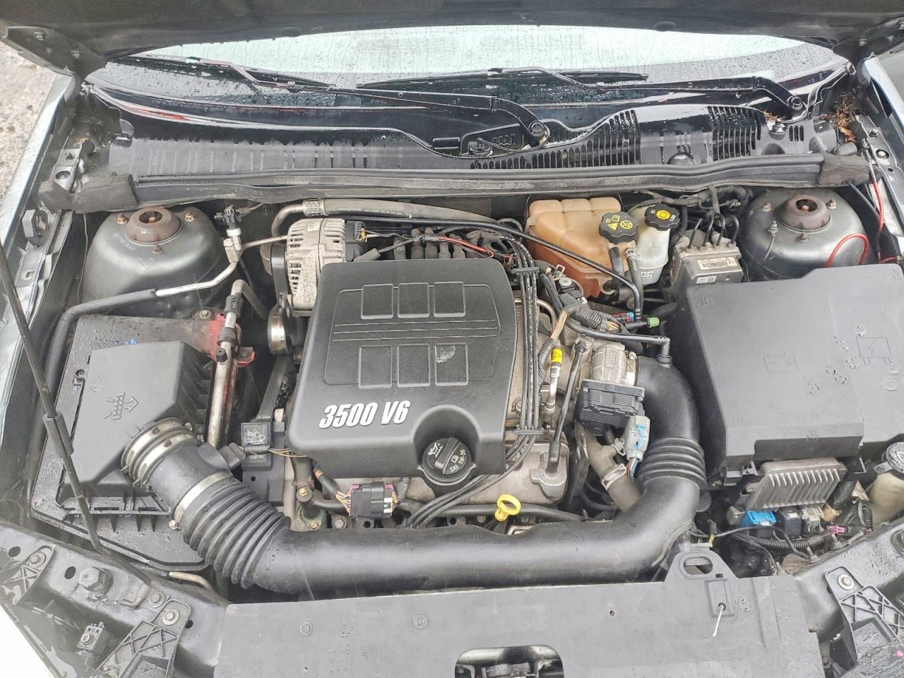 2006 Chevrolet Malibu Lt Green vin: 1G1ZT53826F242347