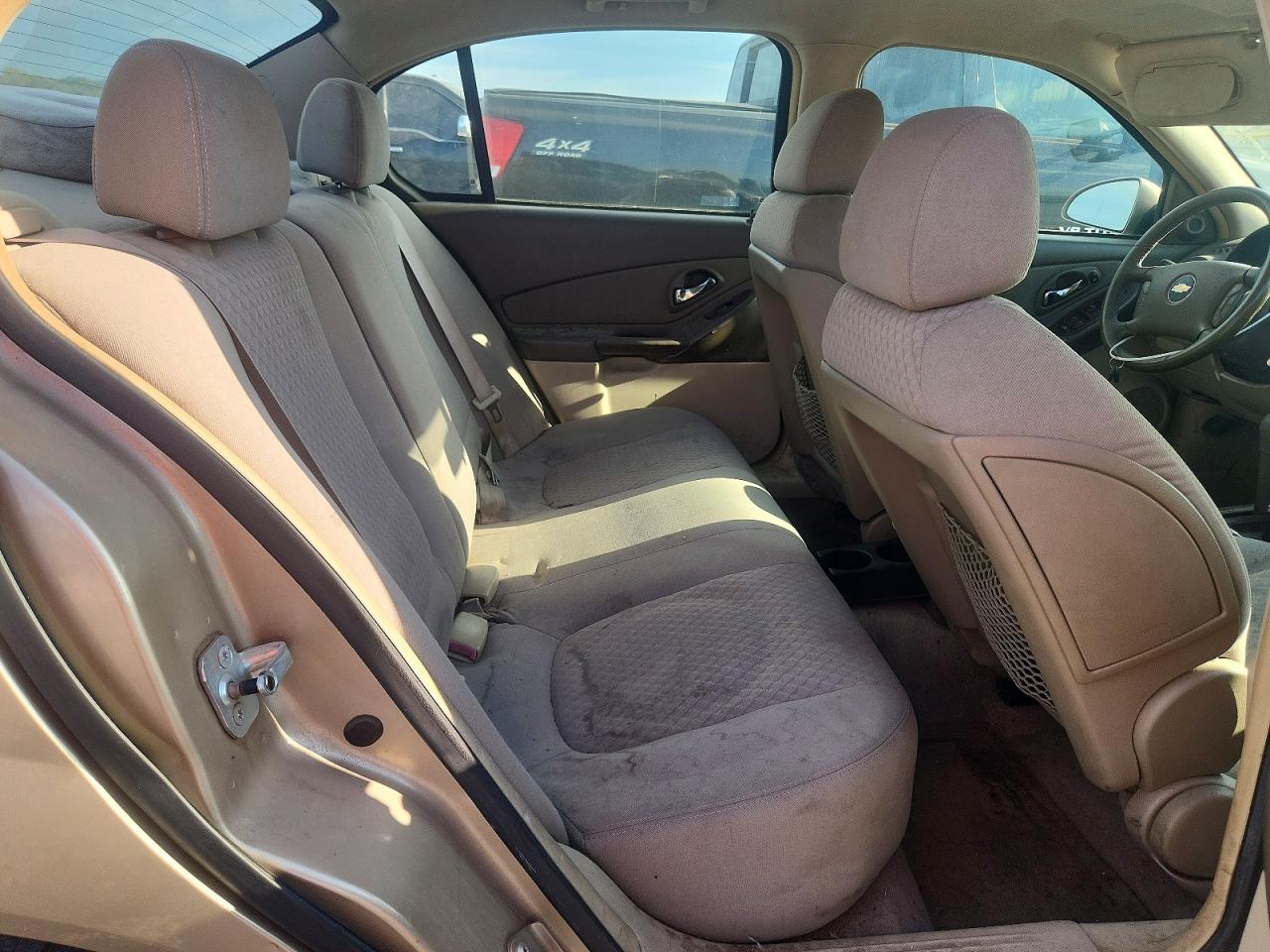2006 Chevrolet Malibu Lt Gold vin: 1G1ZT53F96F268975
