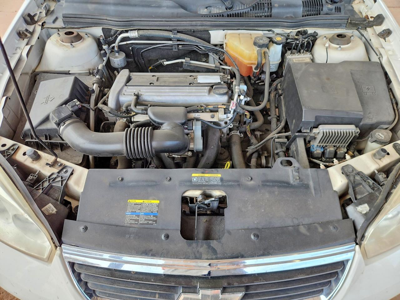 2006 Chevrolet Malibu Lt White vin: 1G1ZT53FX6F191940