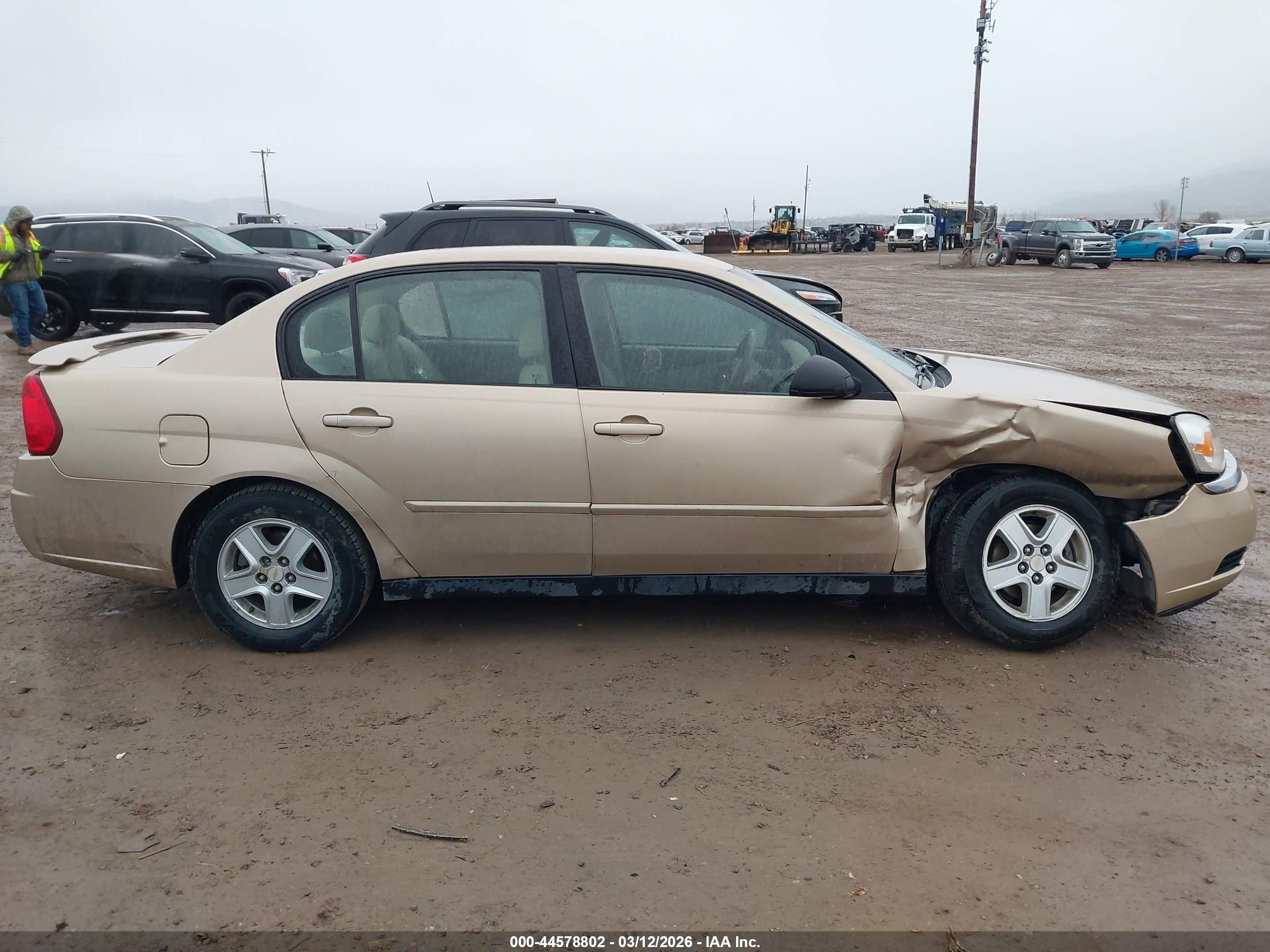2005 Chevrolet Malibu Ls Gold vin: 1G1ZT54845F158754