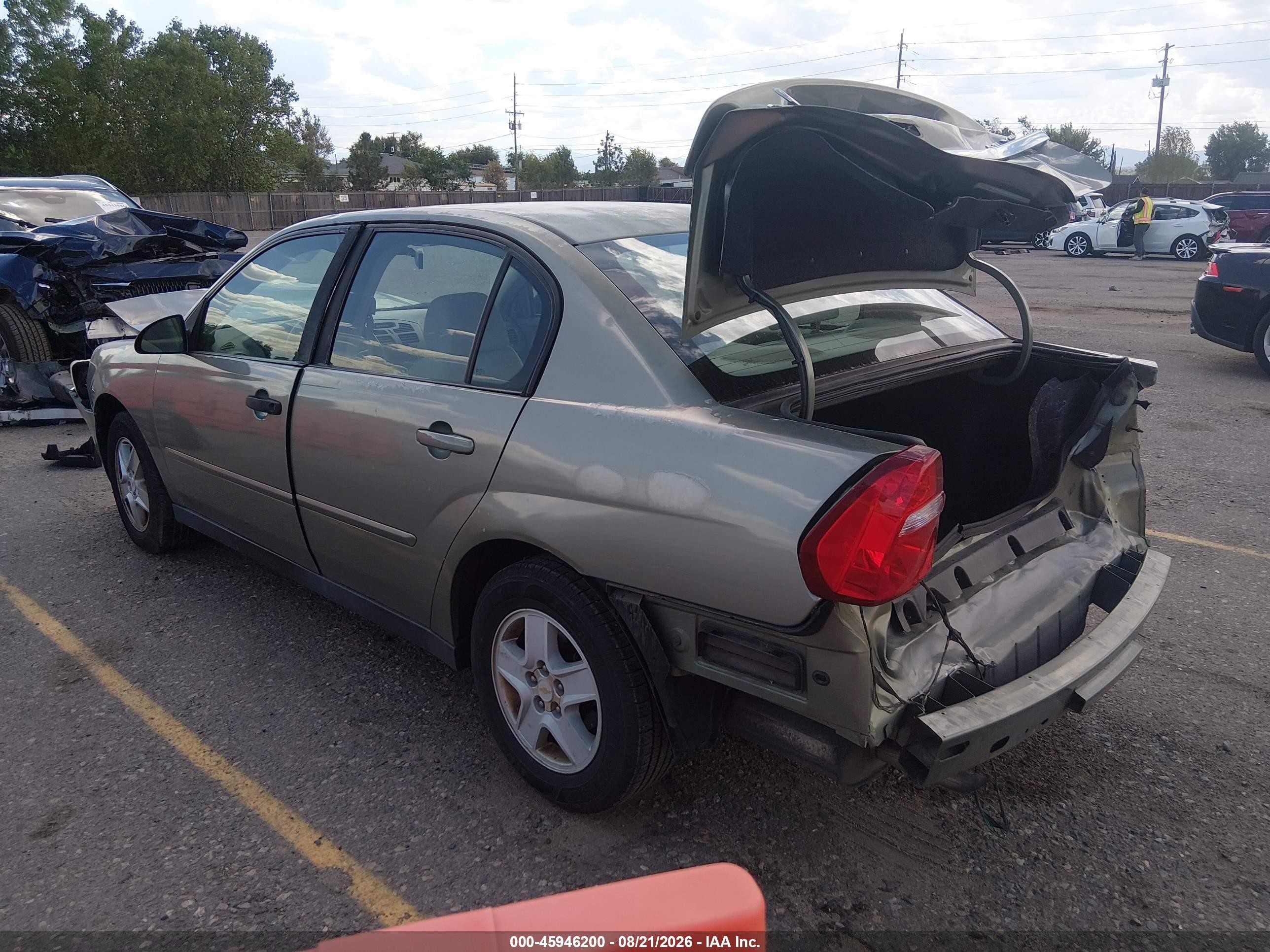 2005 Chevrolet Malibu Ls Green vin: 1G1ZT54855F288901