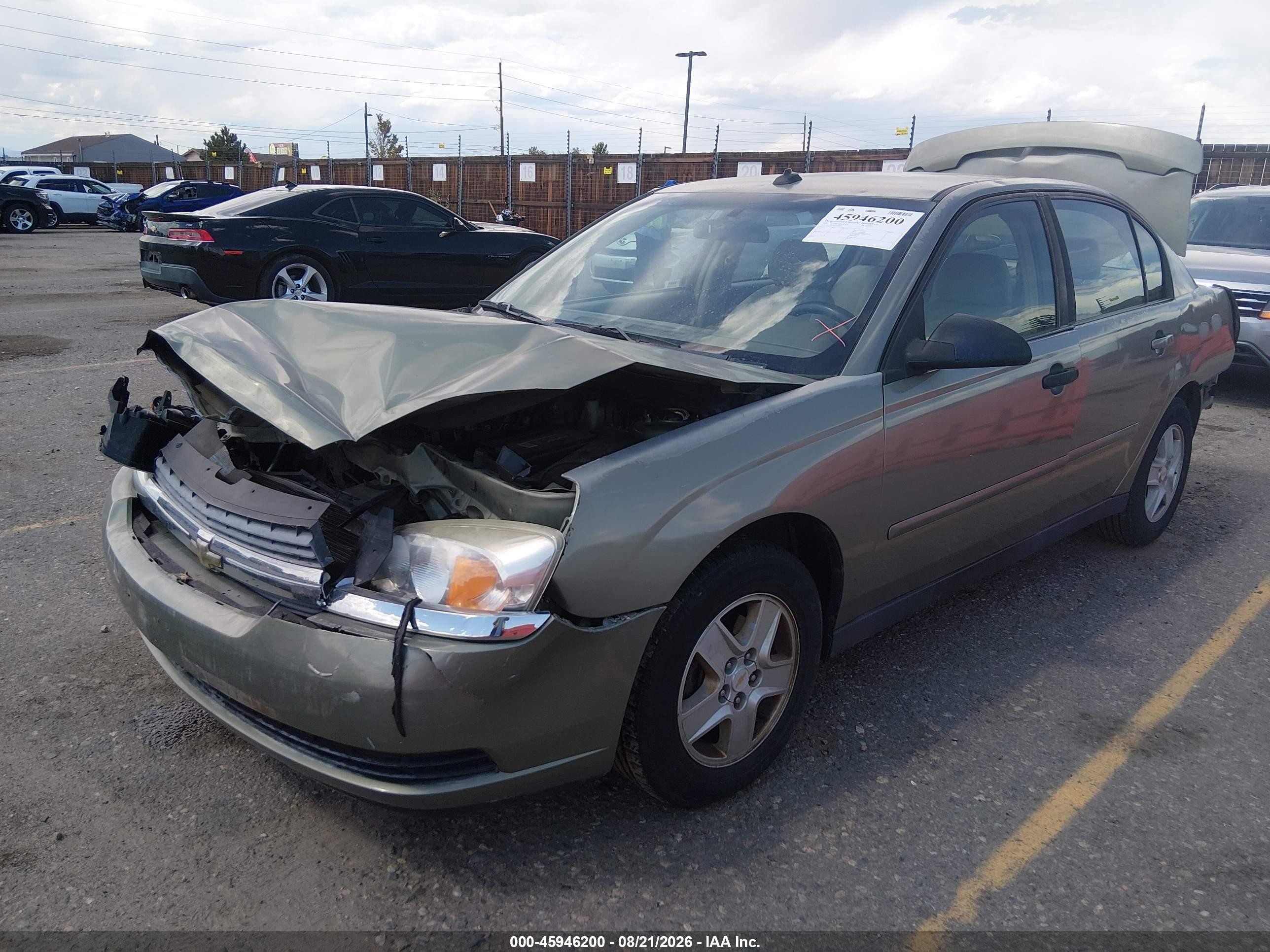 2005 Chevrolet Malibu Ls Green vin: 1G1ZT54855F288901