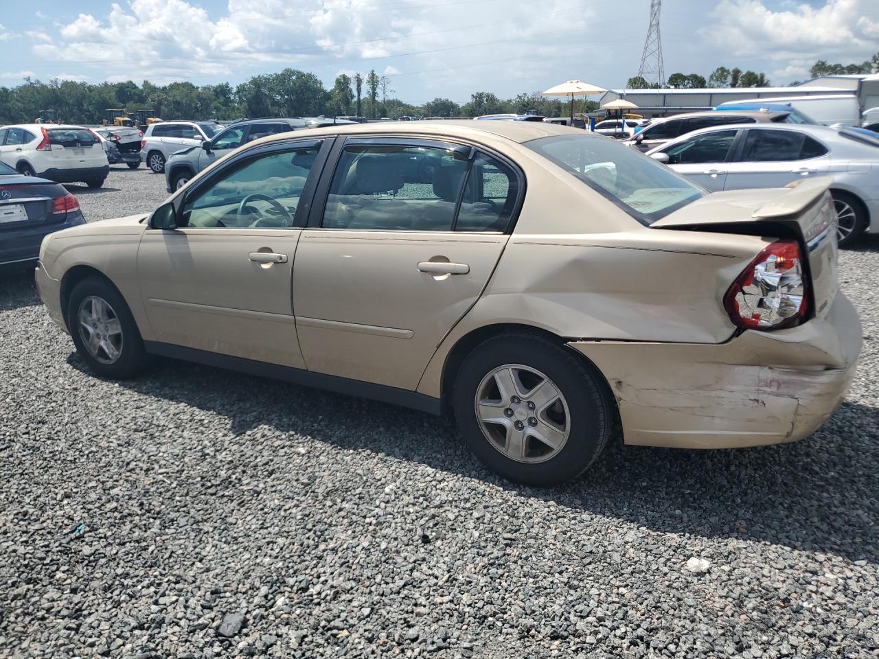 2004 Chevrolet Malibu Ls Tan vin: 1G1ZT54874F110843