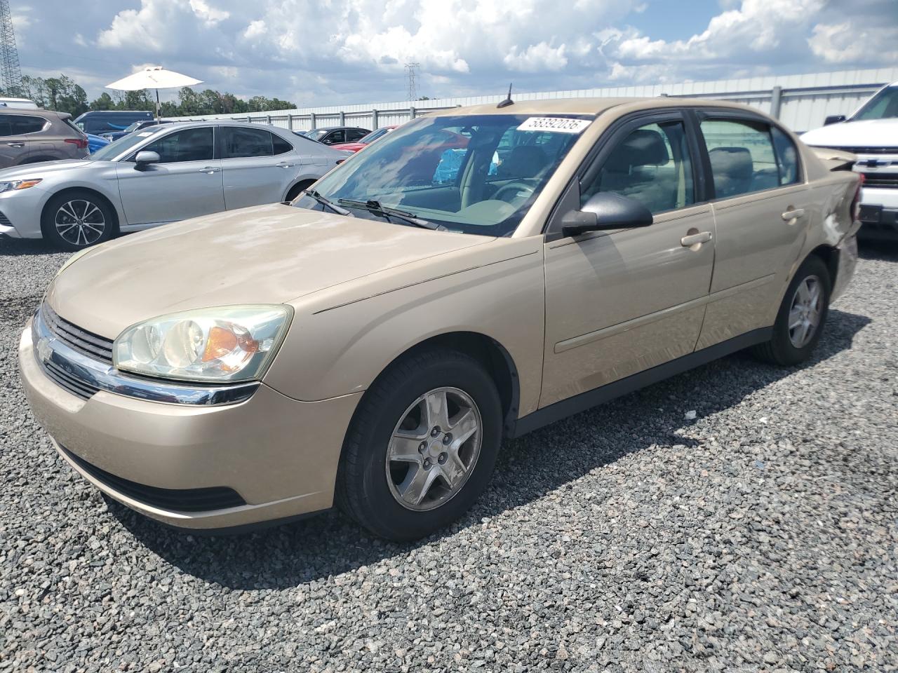 2004 Chevrolet Malibu Ls Tan vin: 1G1ZT54874F110843