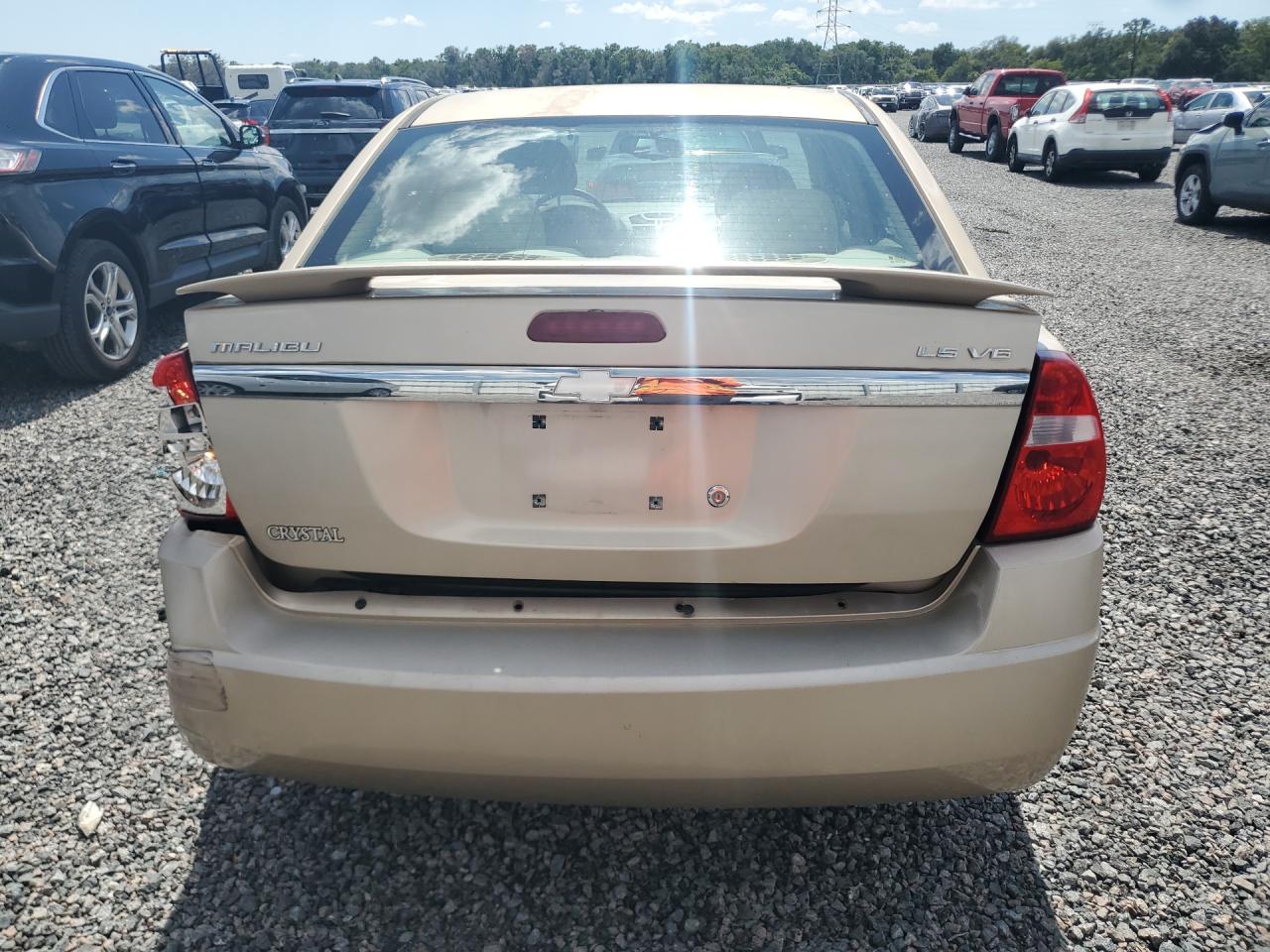2004 Chevrolet Malibu Ls Tan vin: 1G1ZT54874F110843