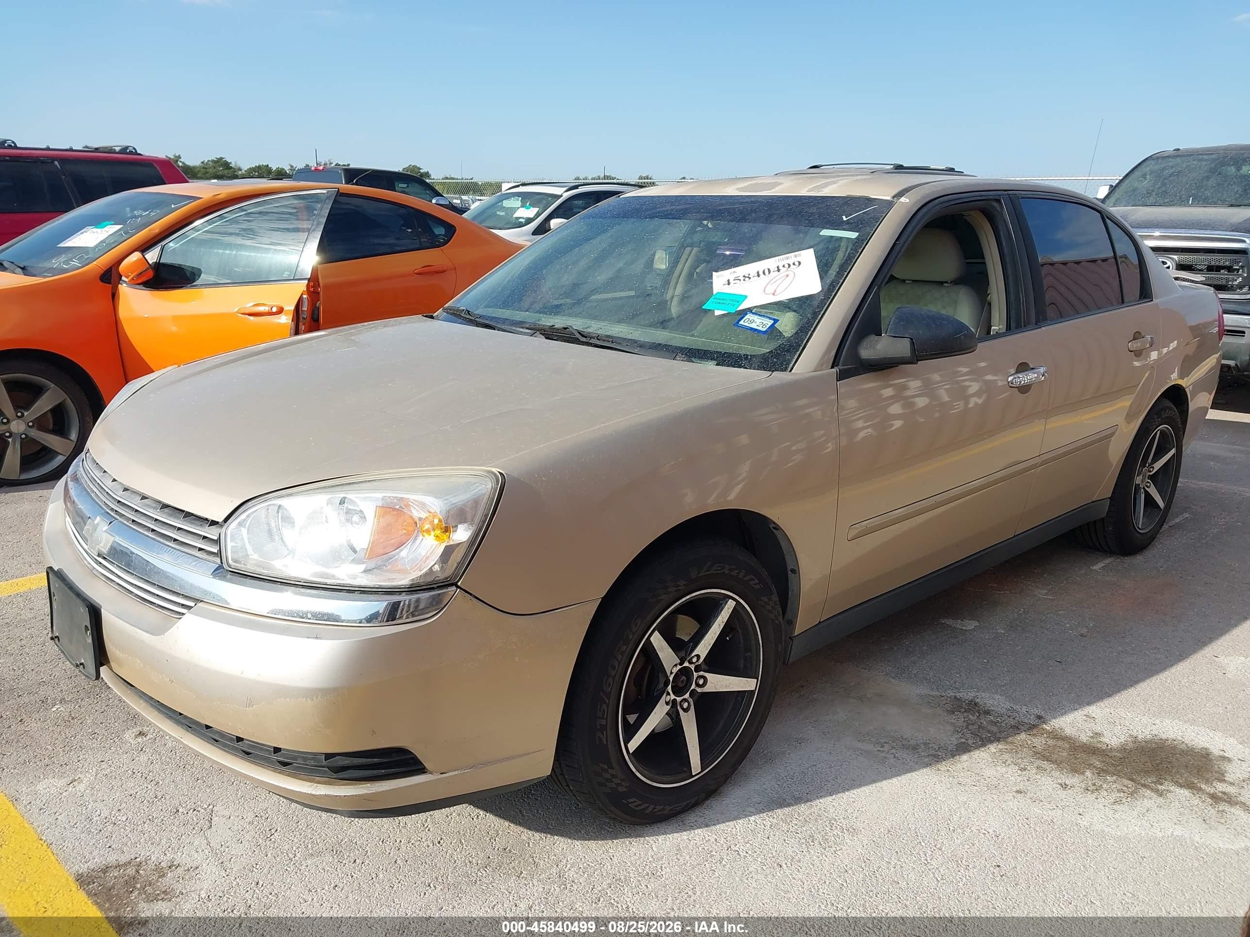 2005 Chevrolet Malibu Ls Бежевый vin: 1G1ZT54875F163480