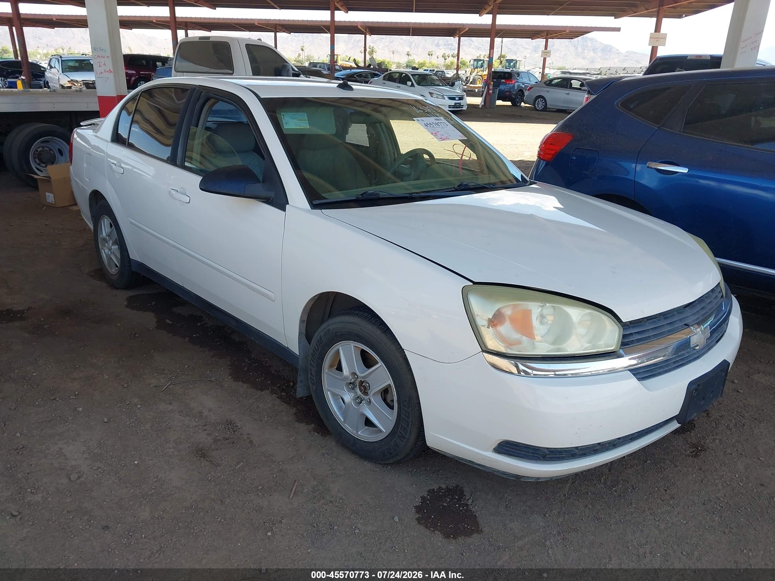 2004 Chevrolet Malibu Ls White vin: 1G1ZT54884F163213