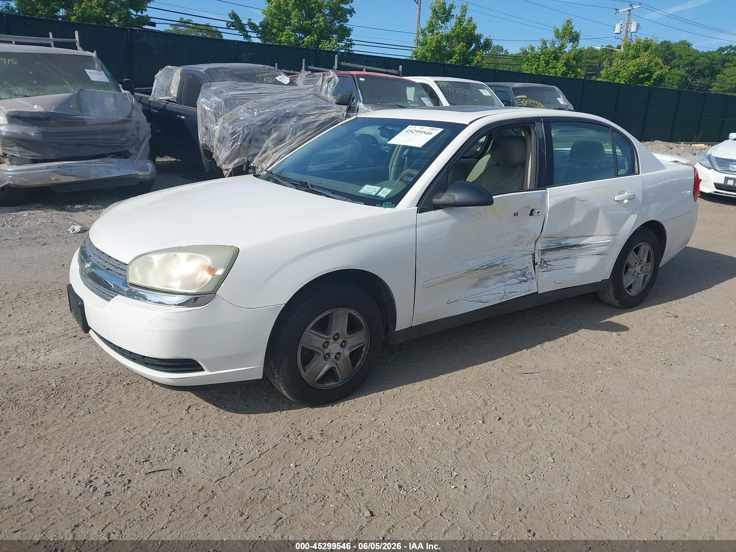 2005 Chevrolet Malibu Ls White vin: 1G1ZT54885F241653