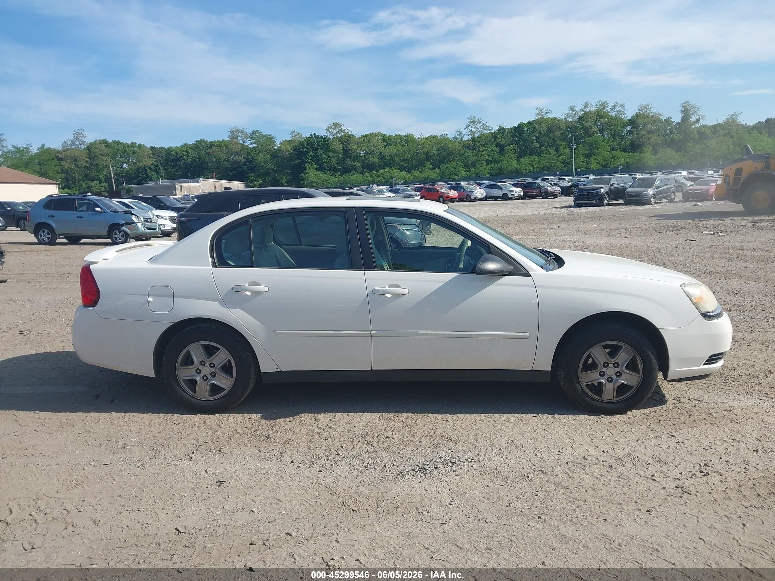 2005 Chevrolet Malibu Ls White vin: 1G1ZT54885F241653