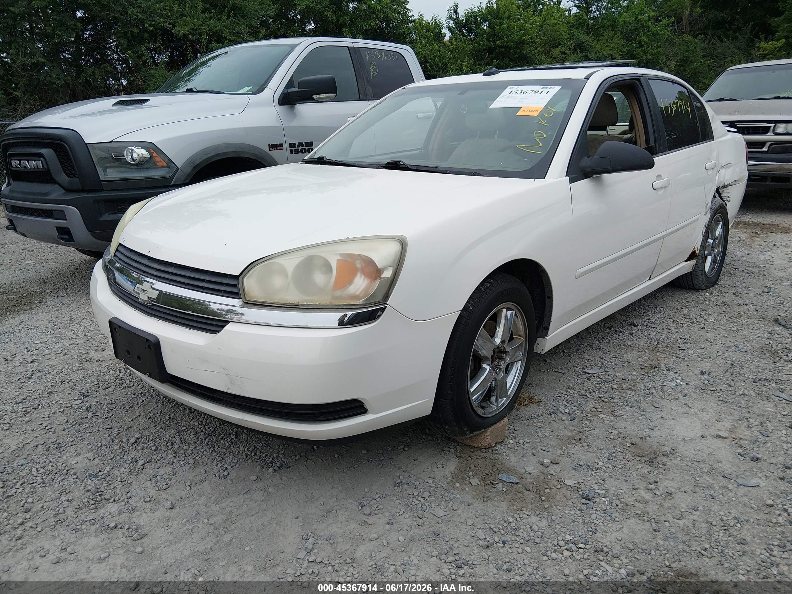 2005 Chevrolet Malibu Ls Белый vin: 1G1ZT54885F249395