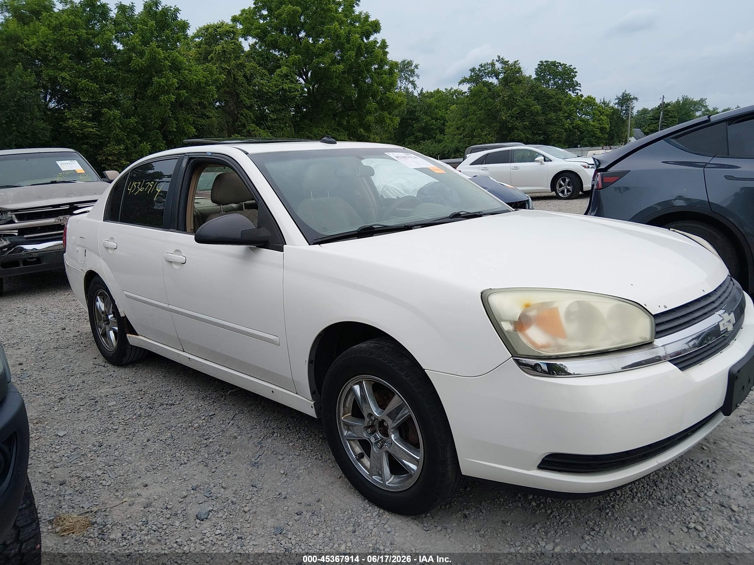 2005 Chevrolet Malibu Ls Белый vin: 1G1ZT54885F249395