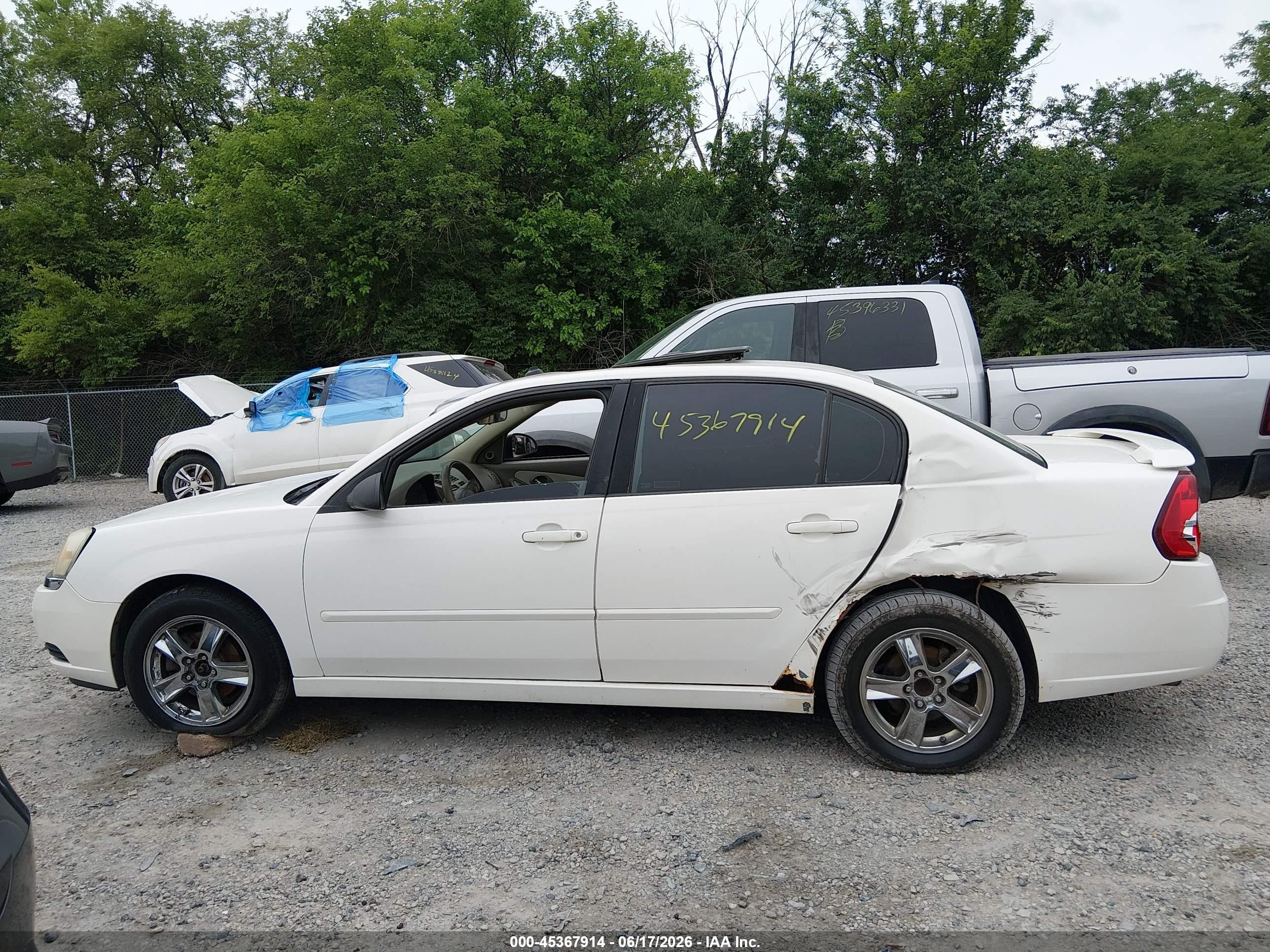 2005 Chevrolet Malibu Ls Белый vin: 1G1ZT54885F249395