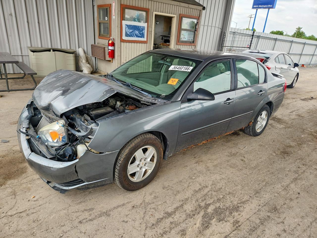 2004 Chevrolet Malibu Ls Gray vin: 1G1ZT548X4F150091