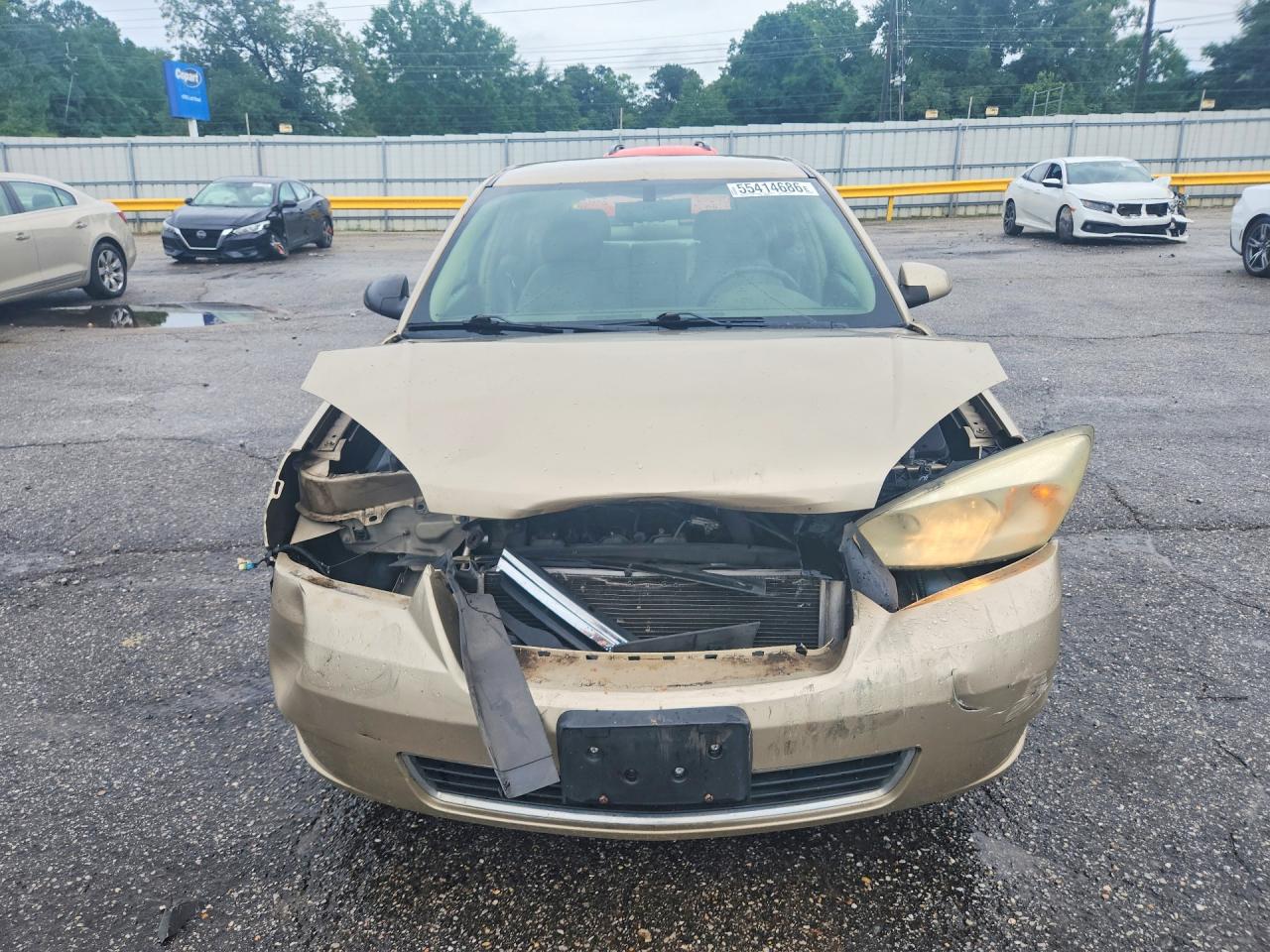 2006 Chevrolet Malibu Gold vin: 1G1ZT61806F163915