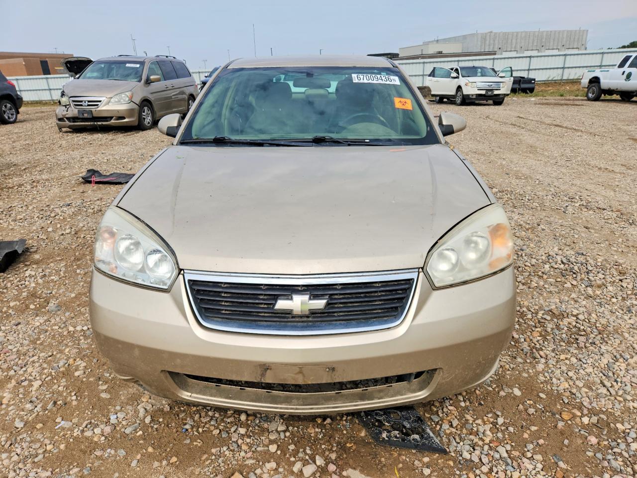 2006 Chevrolet Malibu Maxx Lt Gold vin: 1G1ZT61846F141013