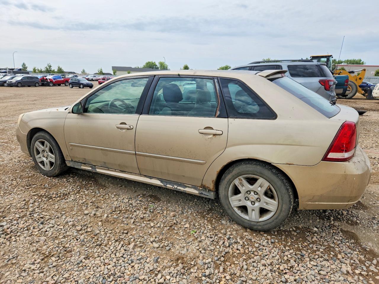 2006 Chevrolet Malibu Maxx Lt Gold vin: 1G1ZT61846F141013