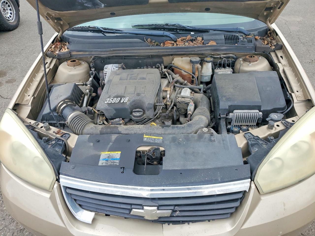 2006 Chevrolet Malibu Maxx Lt Gold vin: 1G1ZT61846F228538