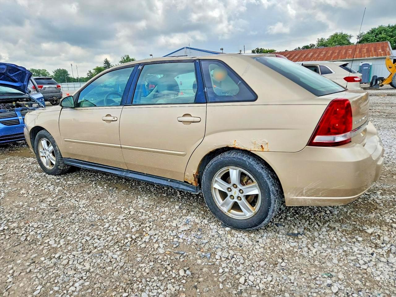 2005 Chevrolet Malibu Maxx Ls Gold vin: 1G1ZT62805F219249