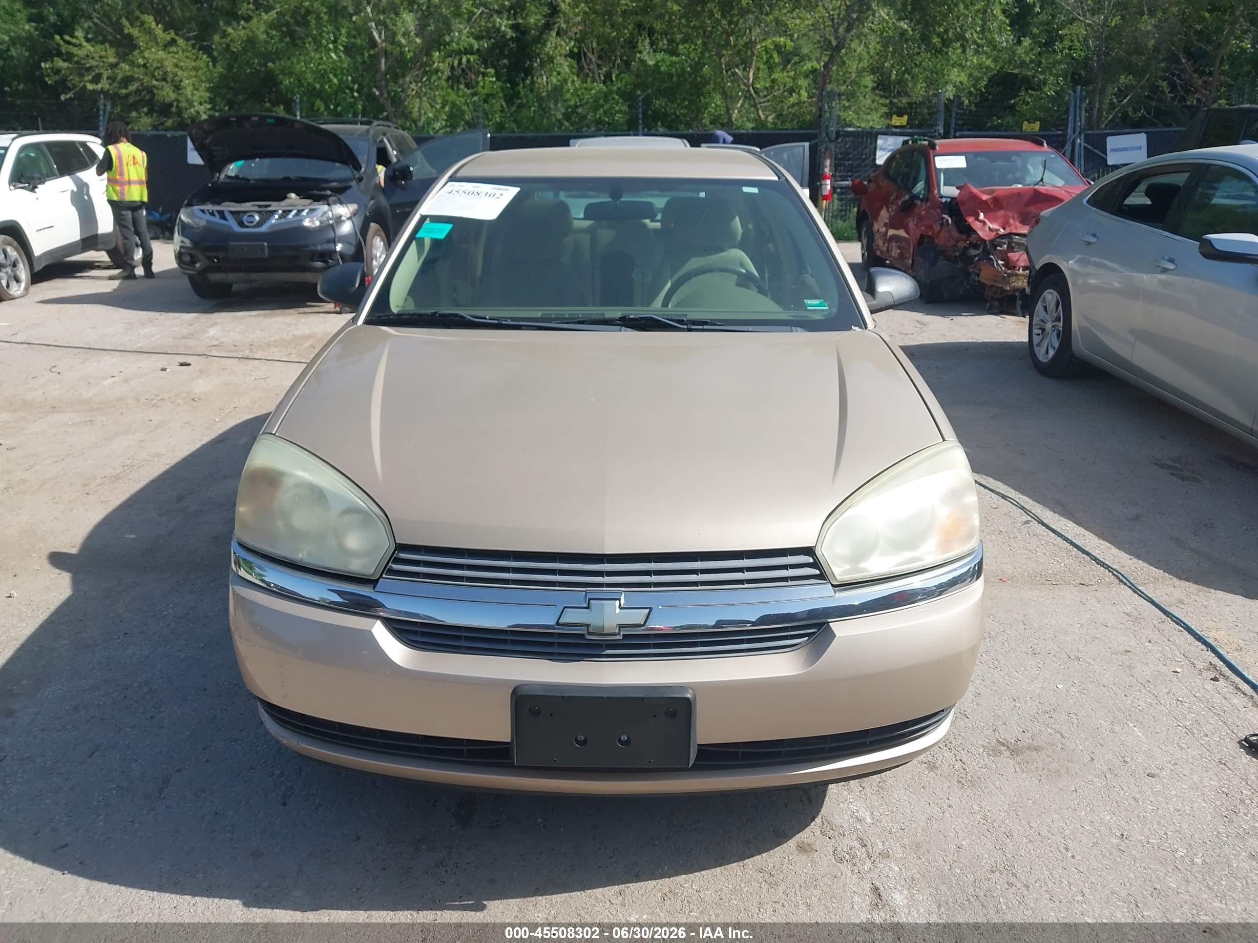 2005 Chevrolet Malibu Maxx Ls Tan vin: 1G1ZT62865F316357