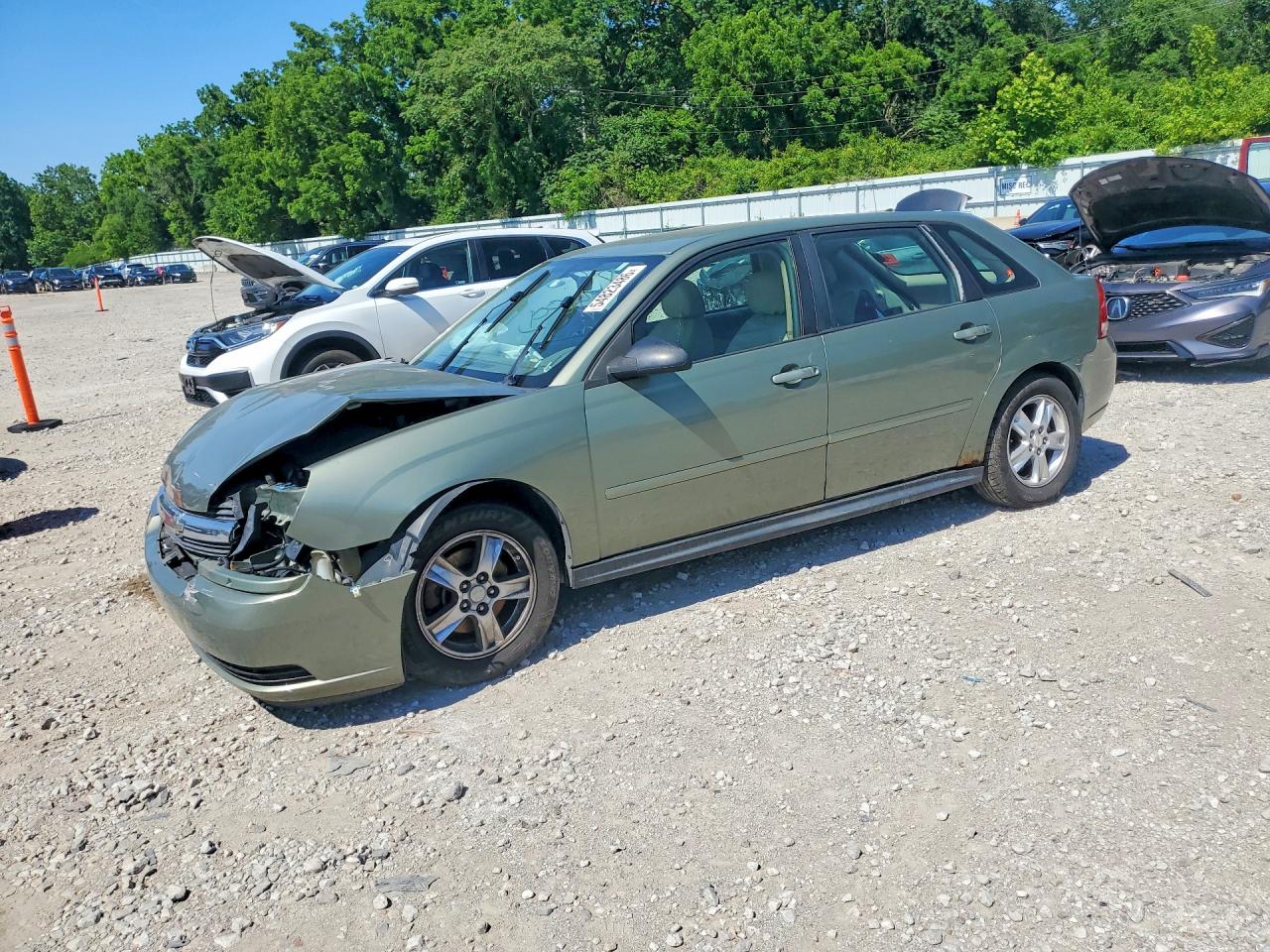 2005 Chevrolet Malibu Maxx Ls Green vin: 1G1ZT64805F221936