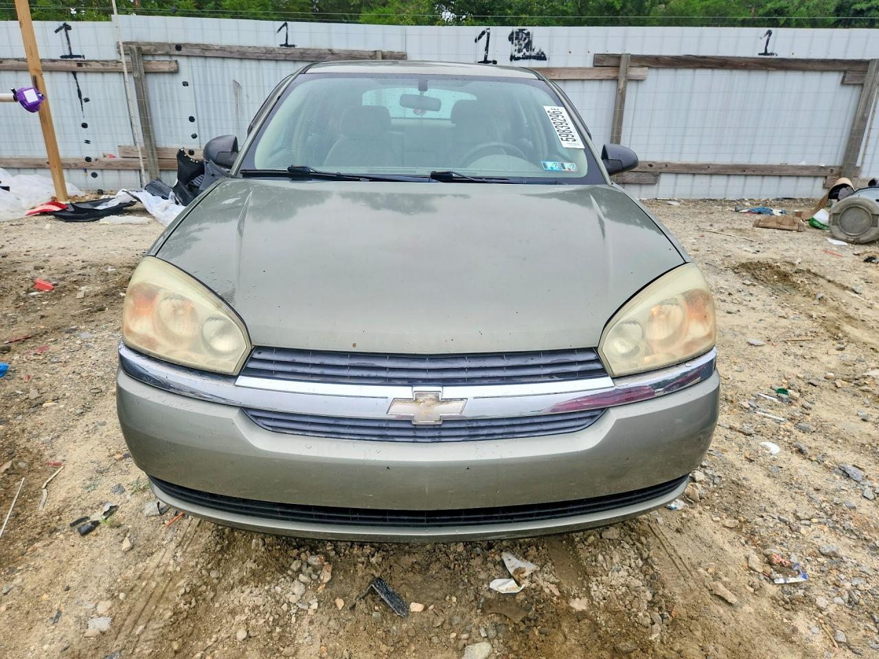 2004 Chevrolet Malibu Maxx Ls Green vin: 1G1ZT64894F195769